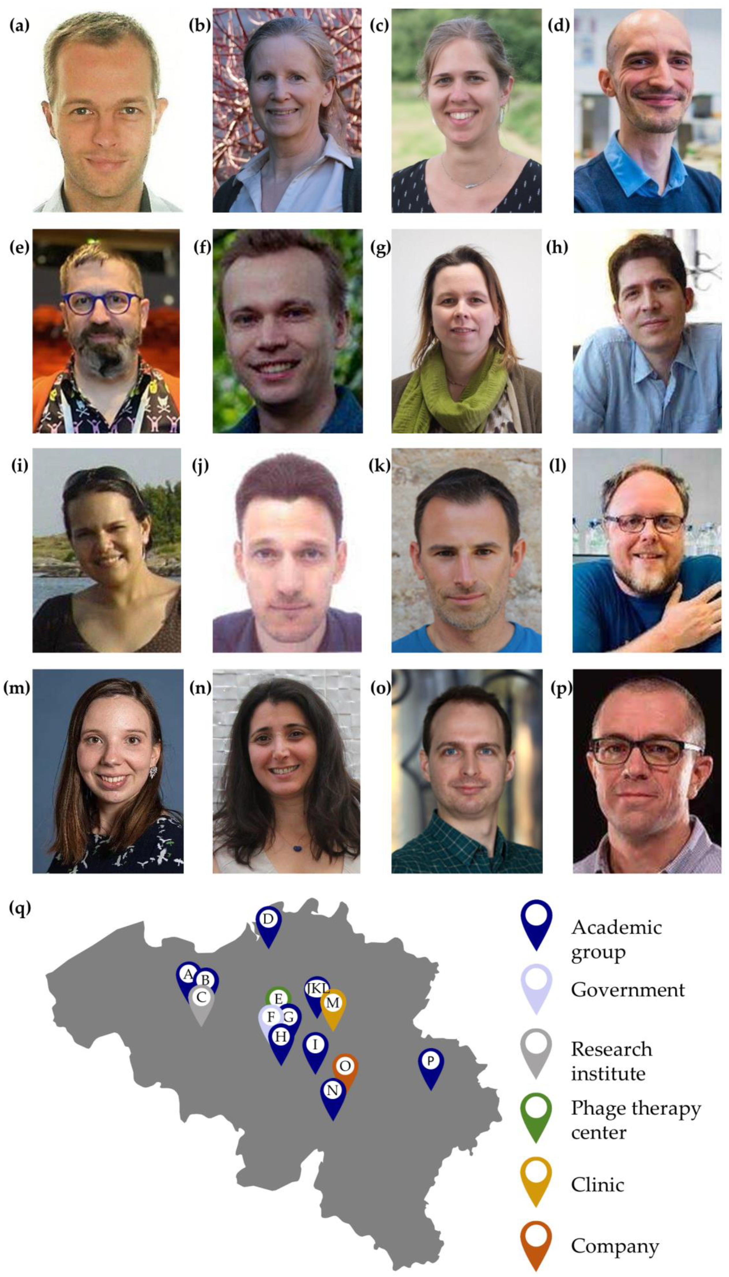 Viruses 15 01213 g001