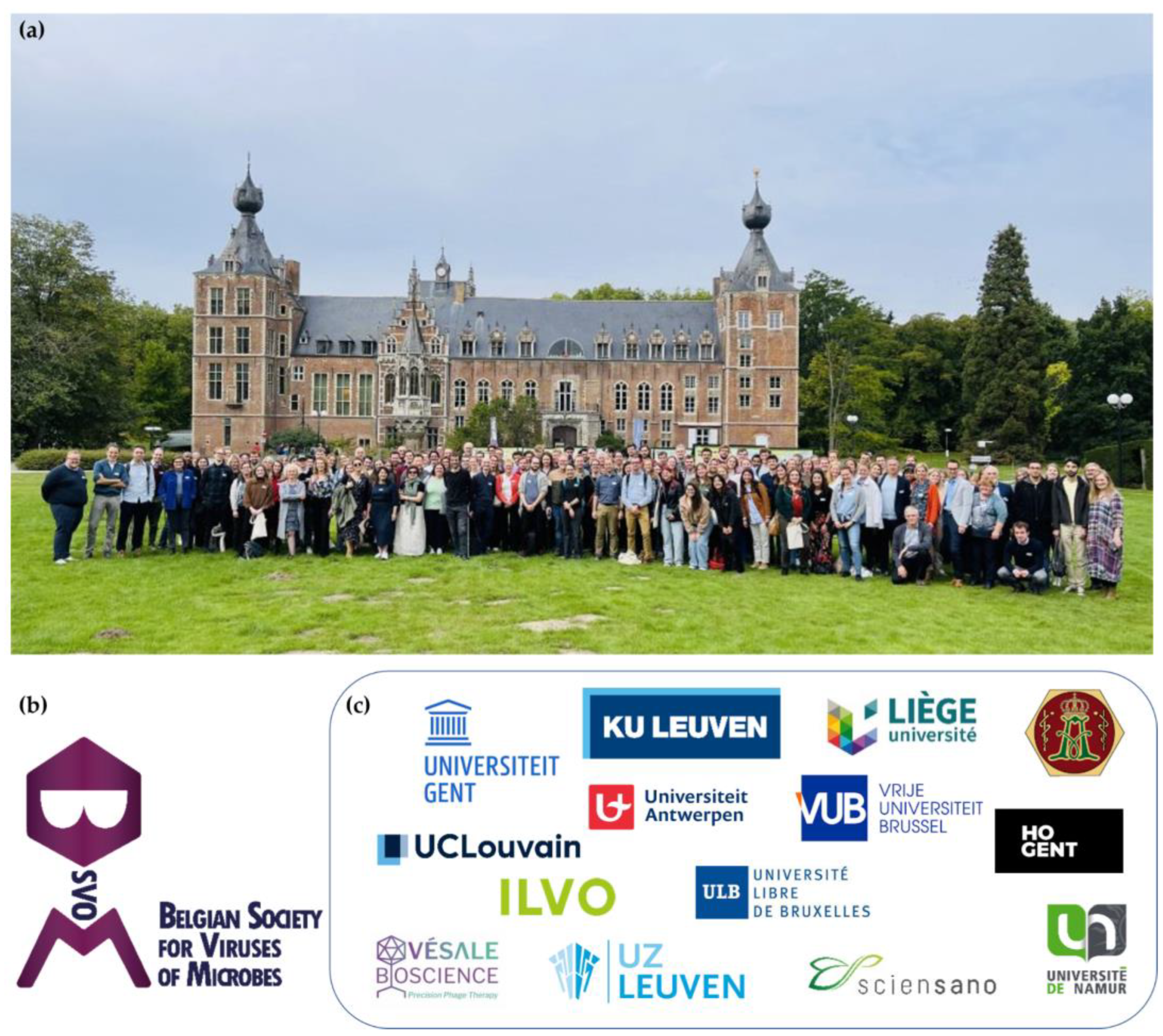 Viruses 15 01213 g002