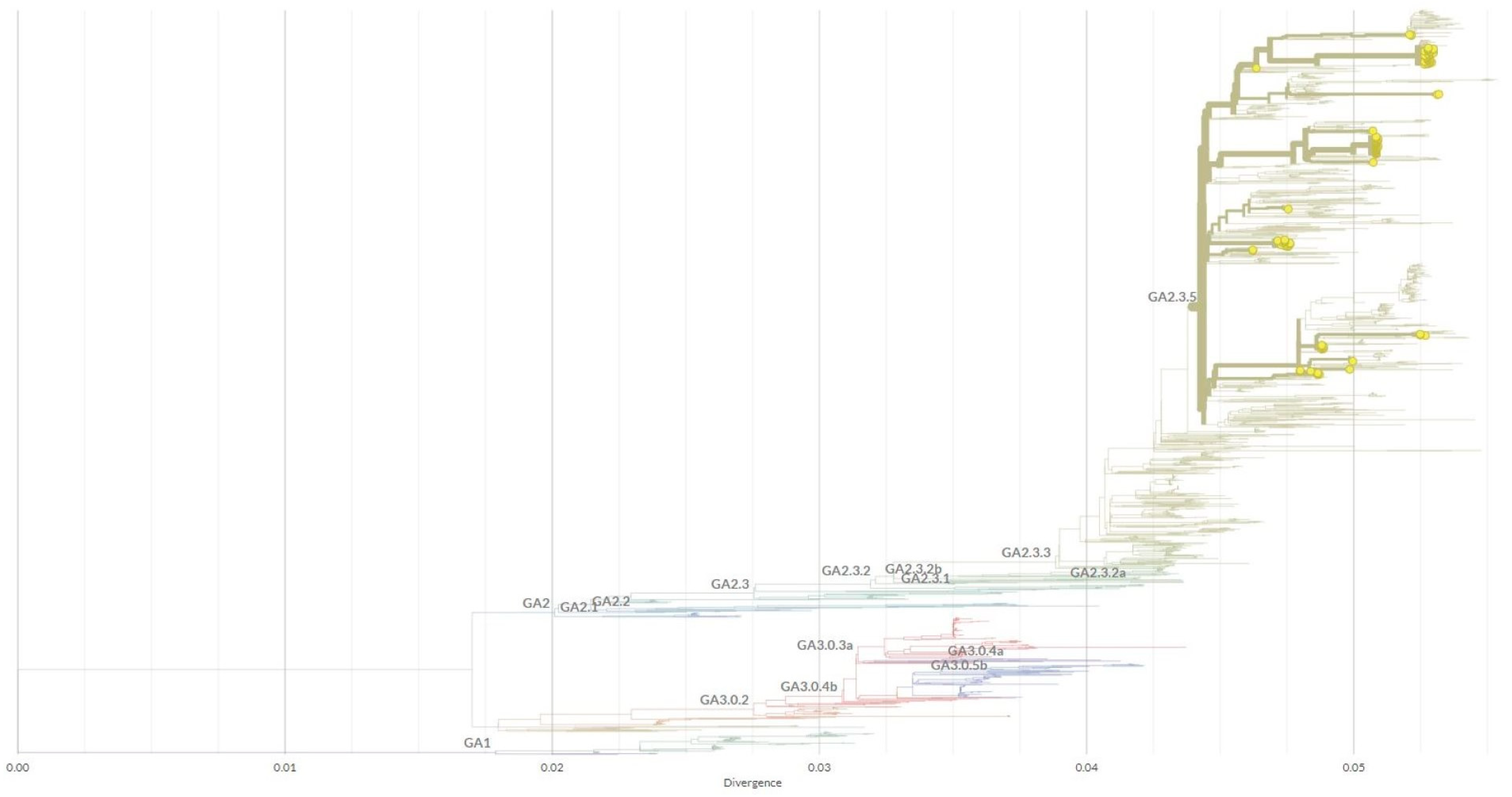 Viruses 15 01218 g004