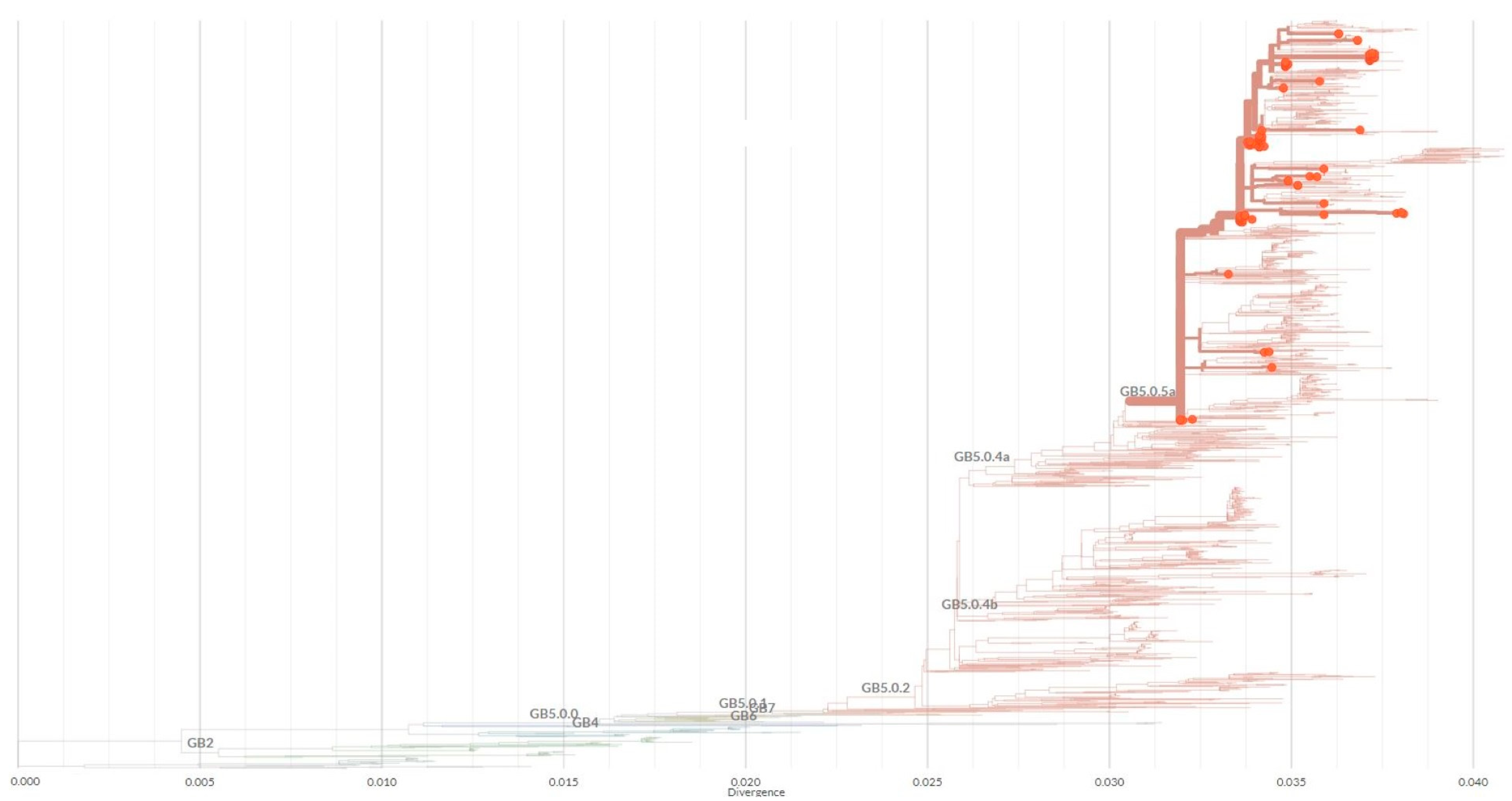 Viruses 15 01218 g005