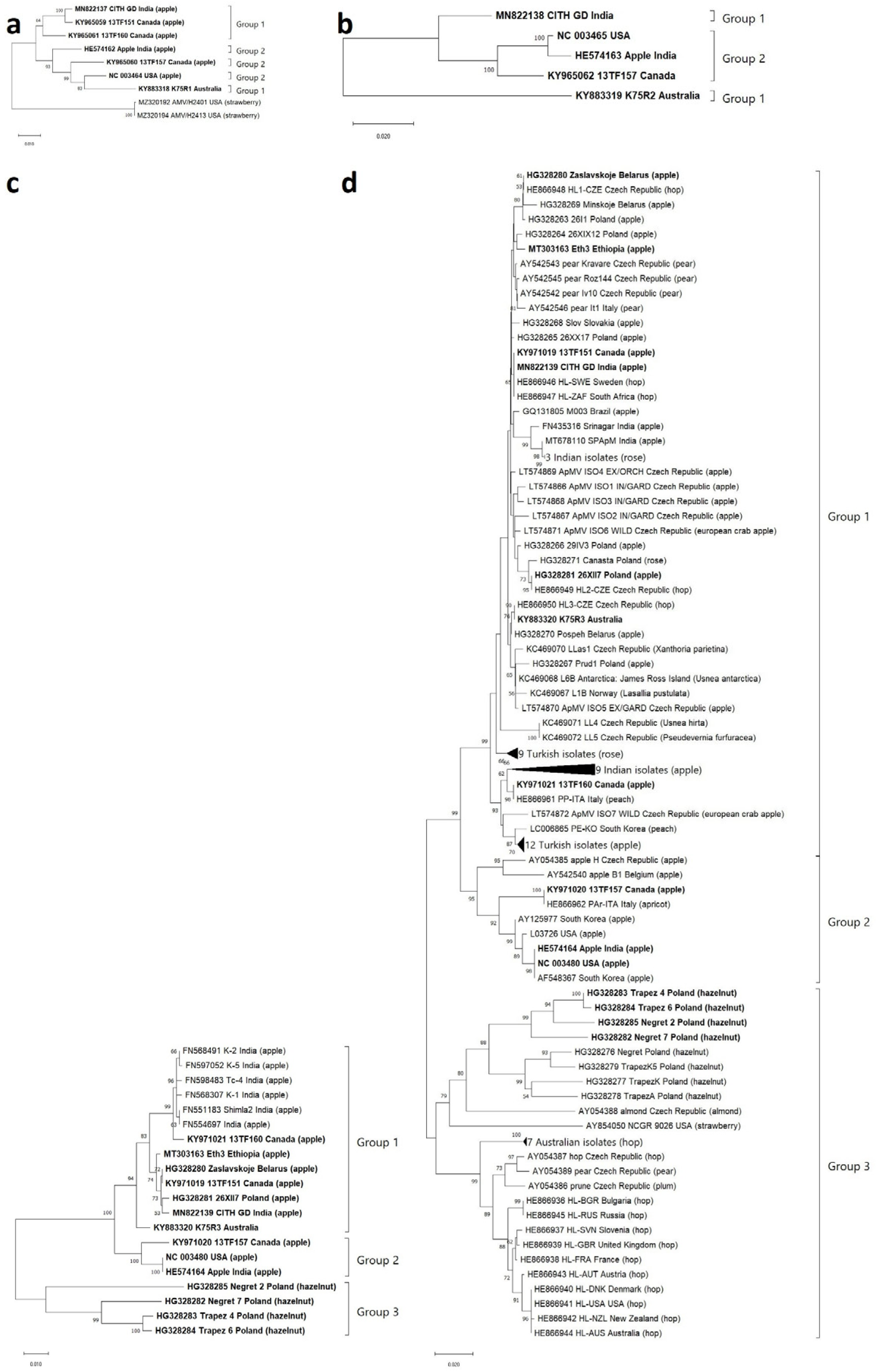Viruses 15 01221 g001