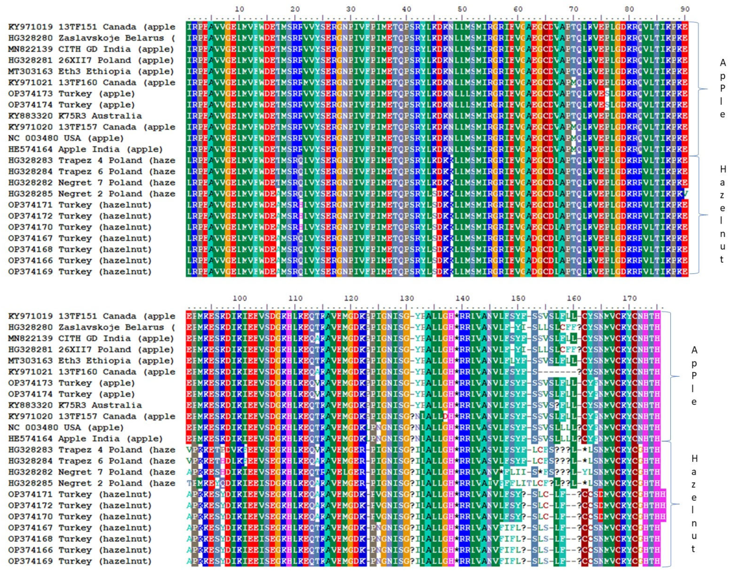 Viruses 15 01221 g004