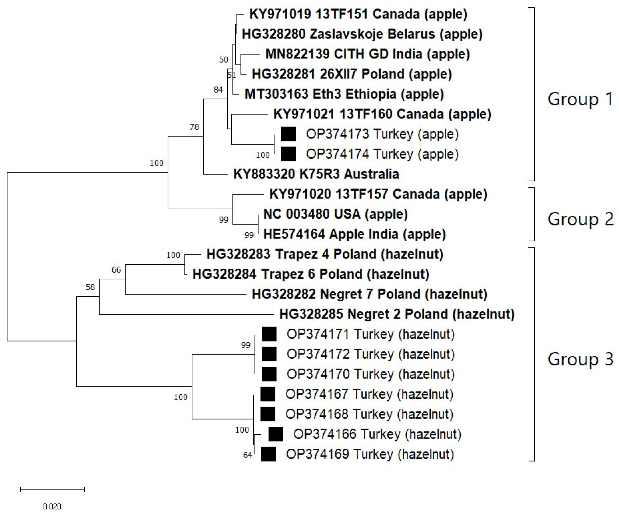 Viruses 15 01221 g005