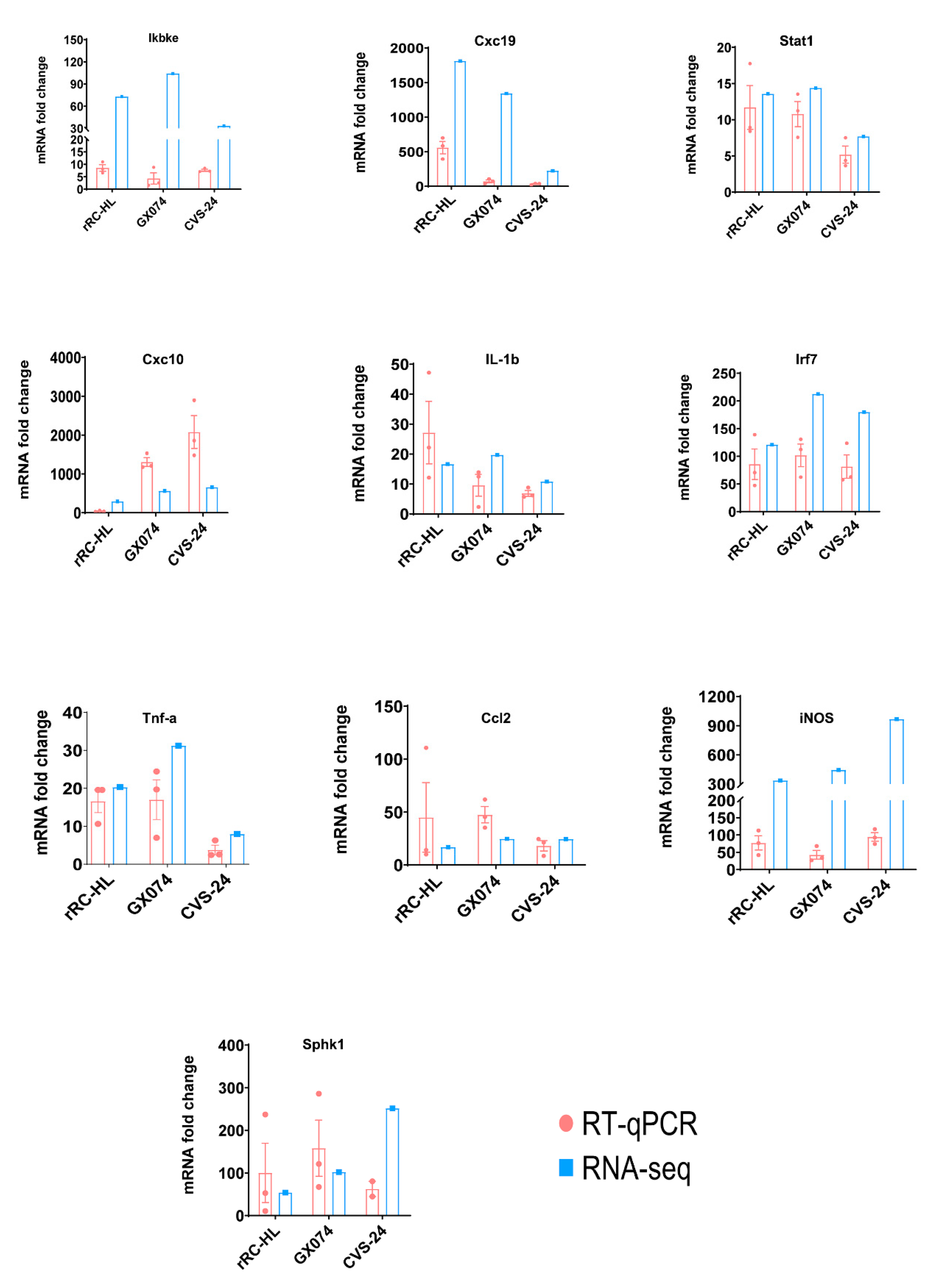 Viruses 15 01223 g004