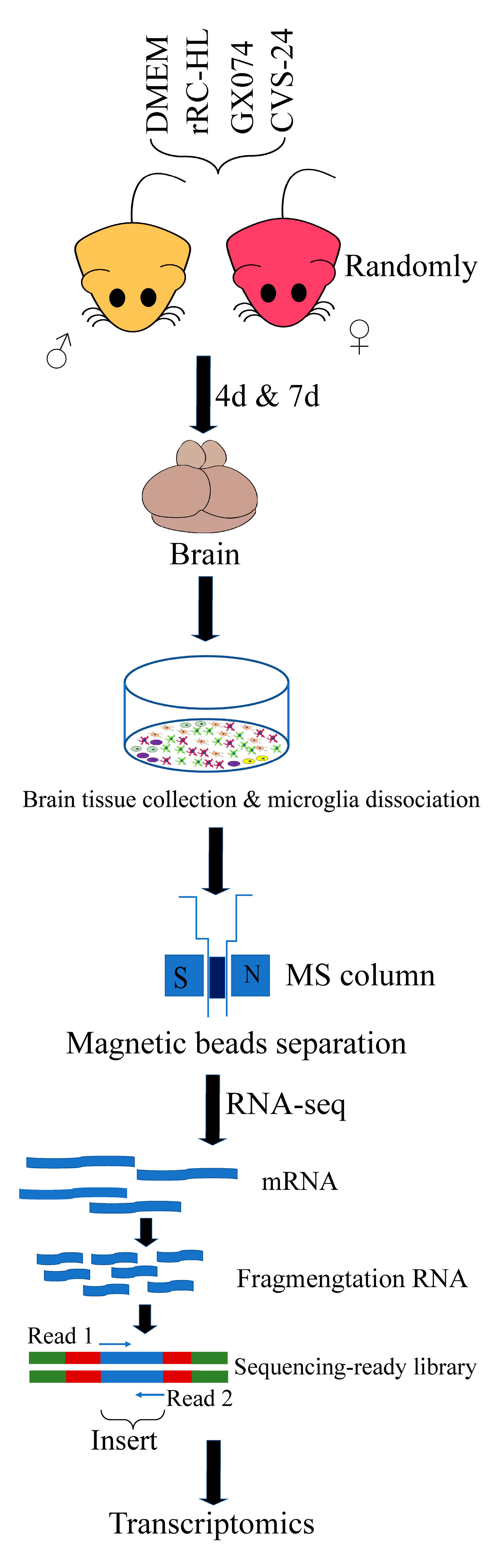 Viruses 15 01223 sch001
