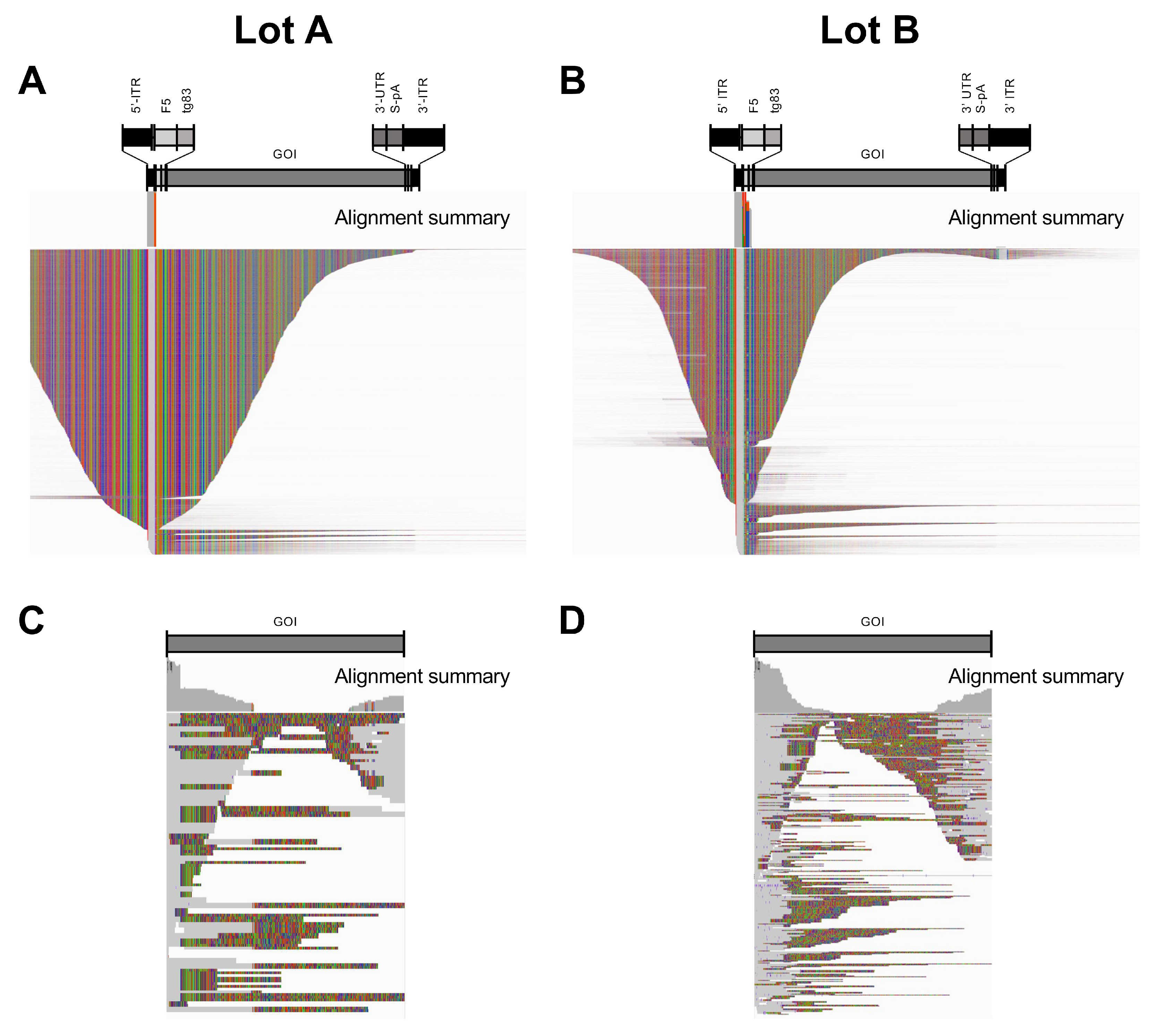 Viruses 15 01228 g002