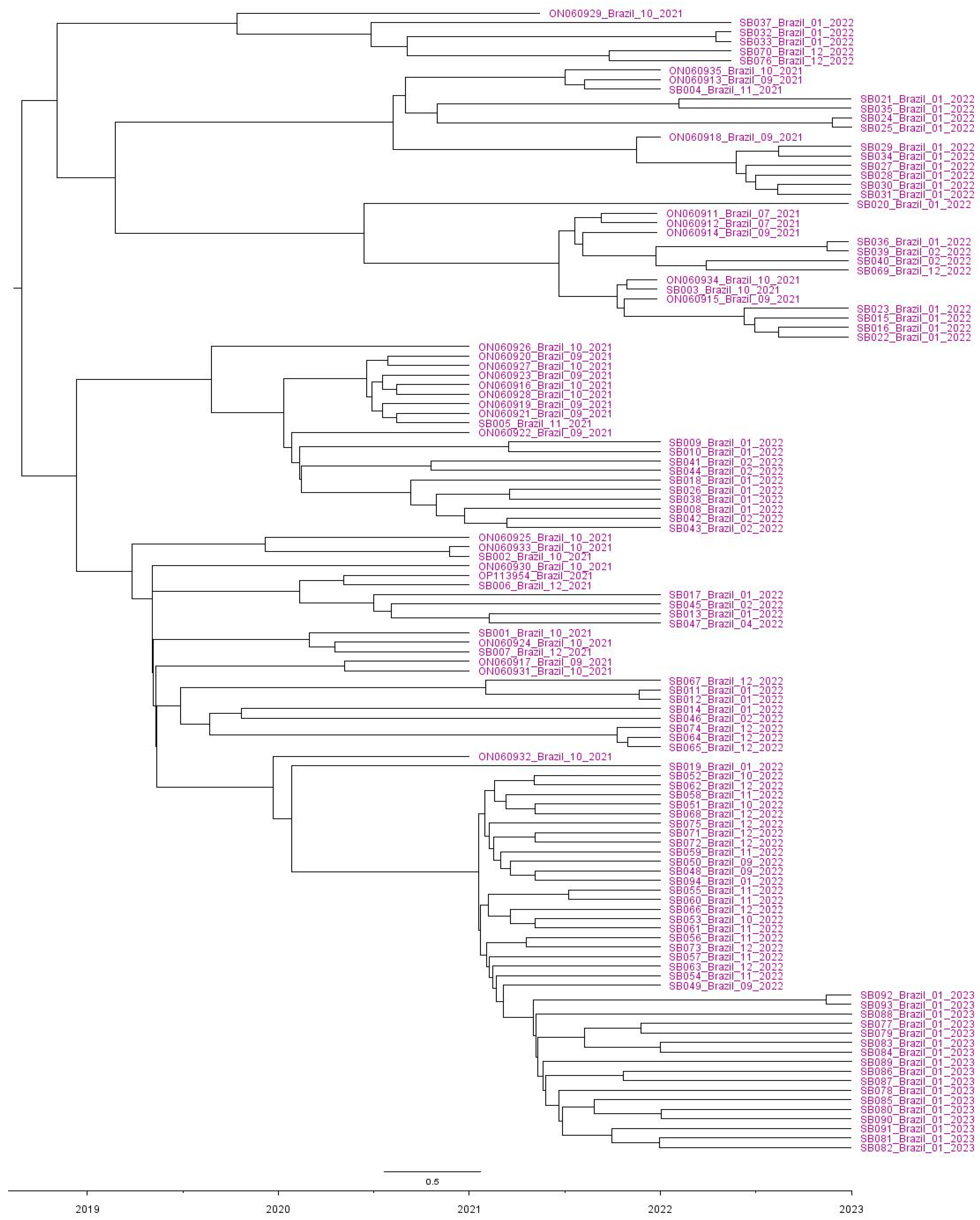 Viruses 15 01229 g002
