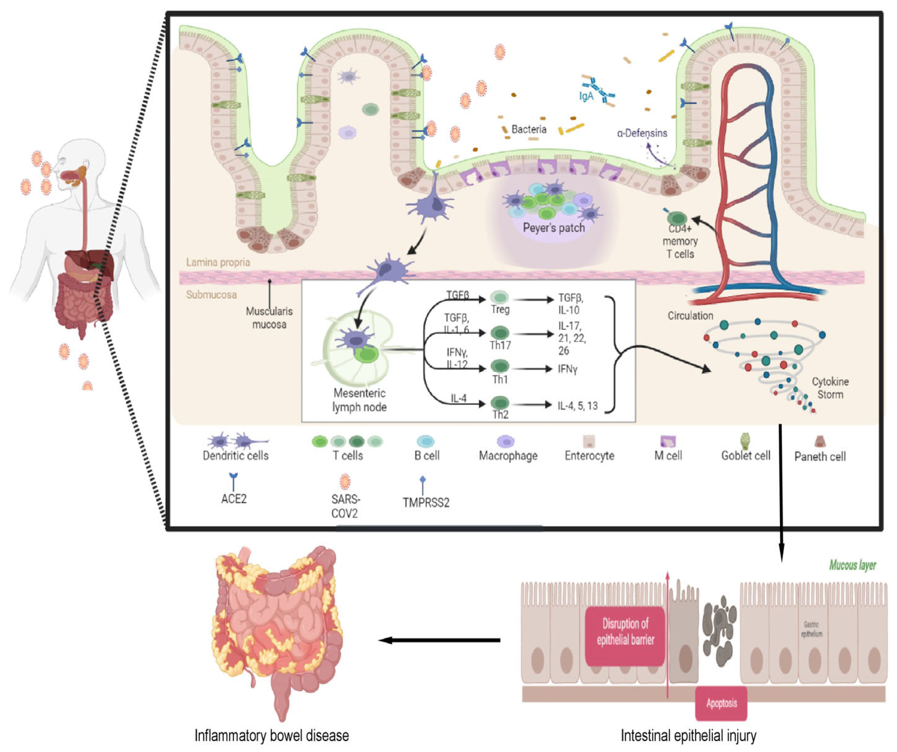 Viruses 15 01231 g001 Viruses 15 01231 g001