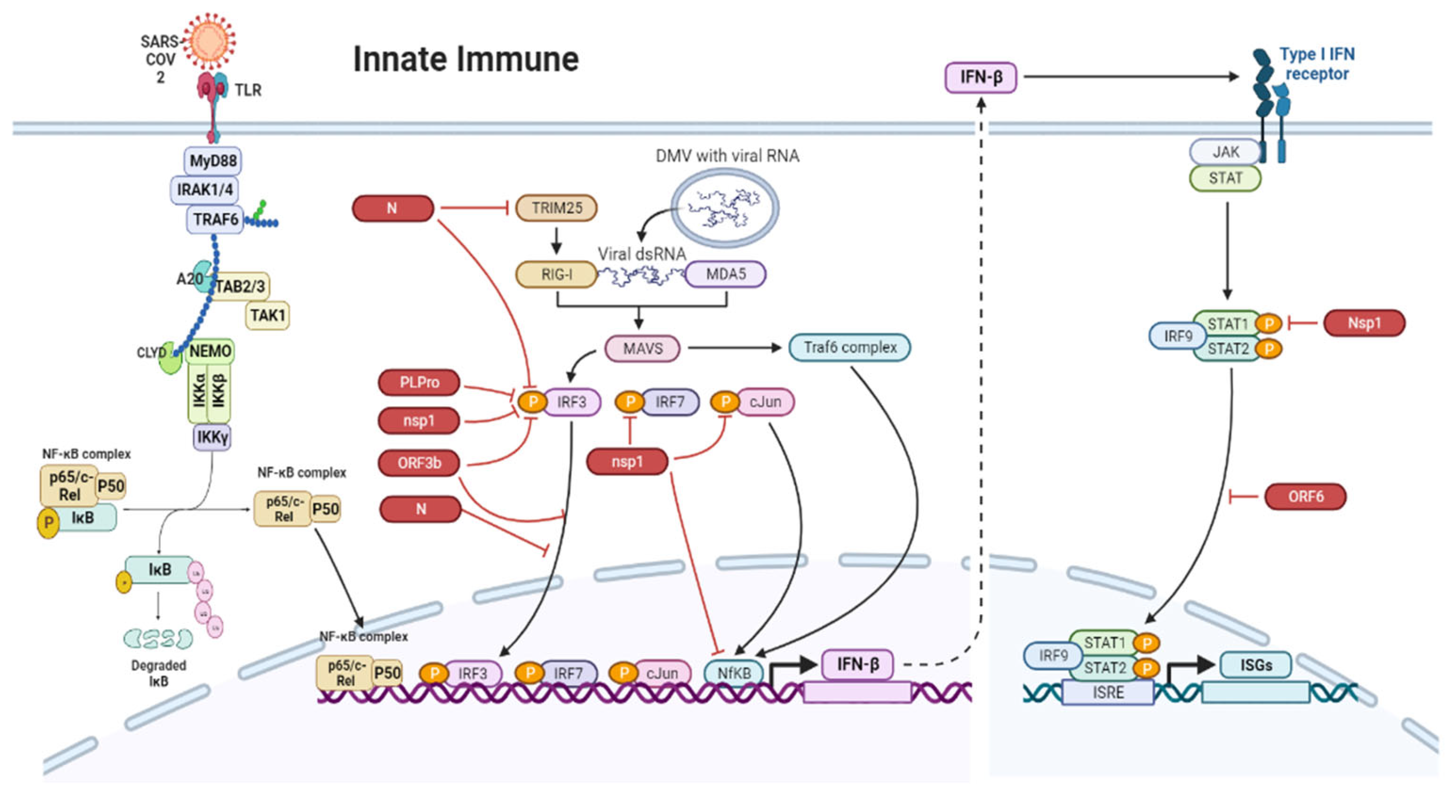 Viruses 15 01231 g002 Viruses 15 01231 g002