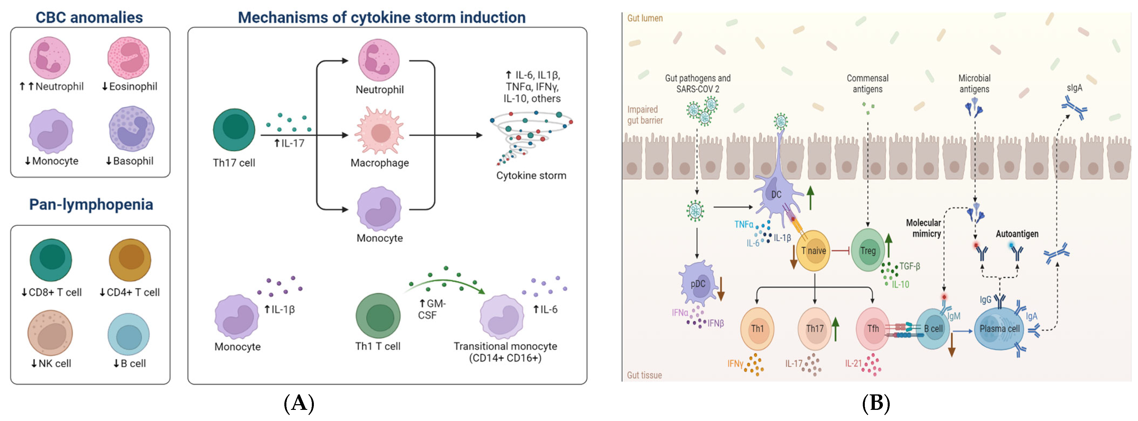Viruses 15 01231 g003 Viruses 15 01231 g003