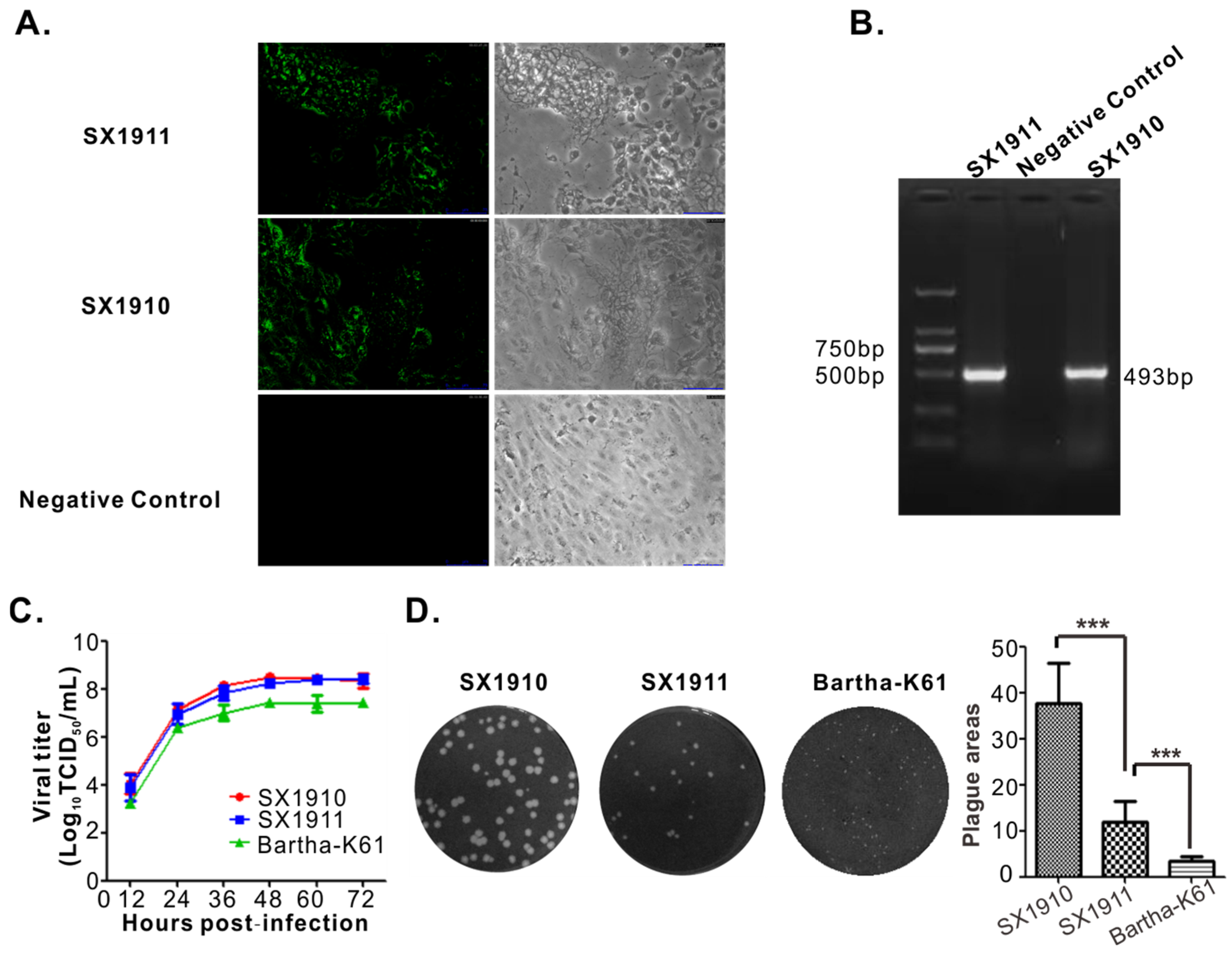 Viruses 15 01237 g001 Viruses 15 01237 g001