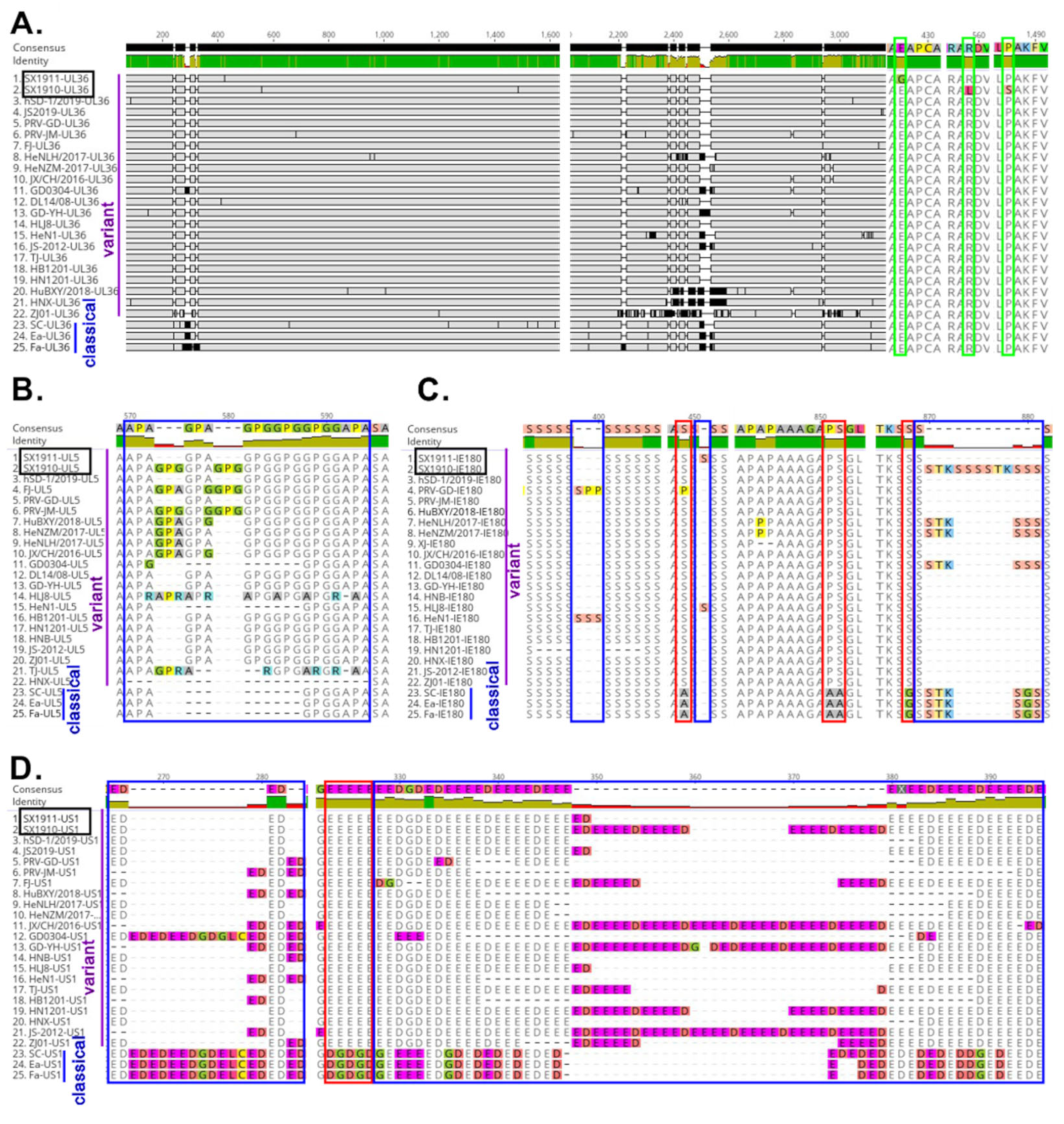 Viruses 15 01237 g004 Viruses 15 01237 g004