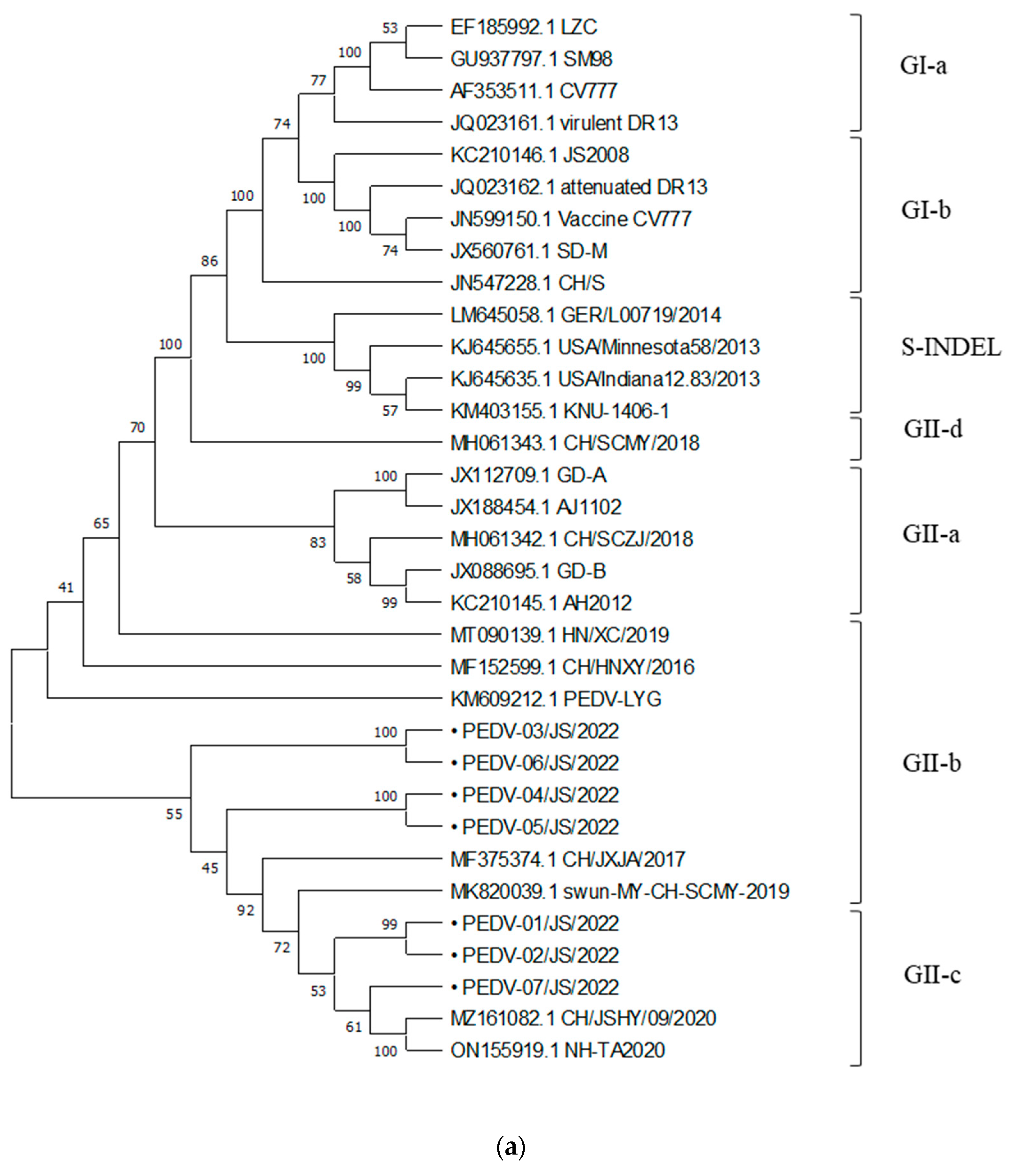 Viruses 15 01238 g004a