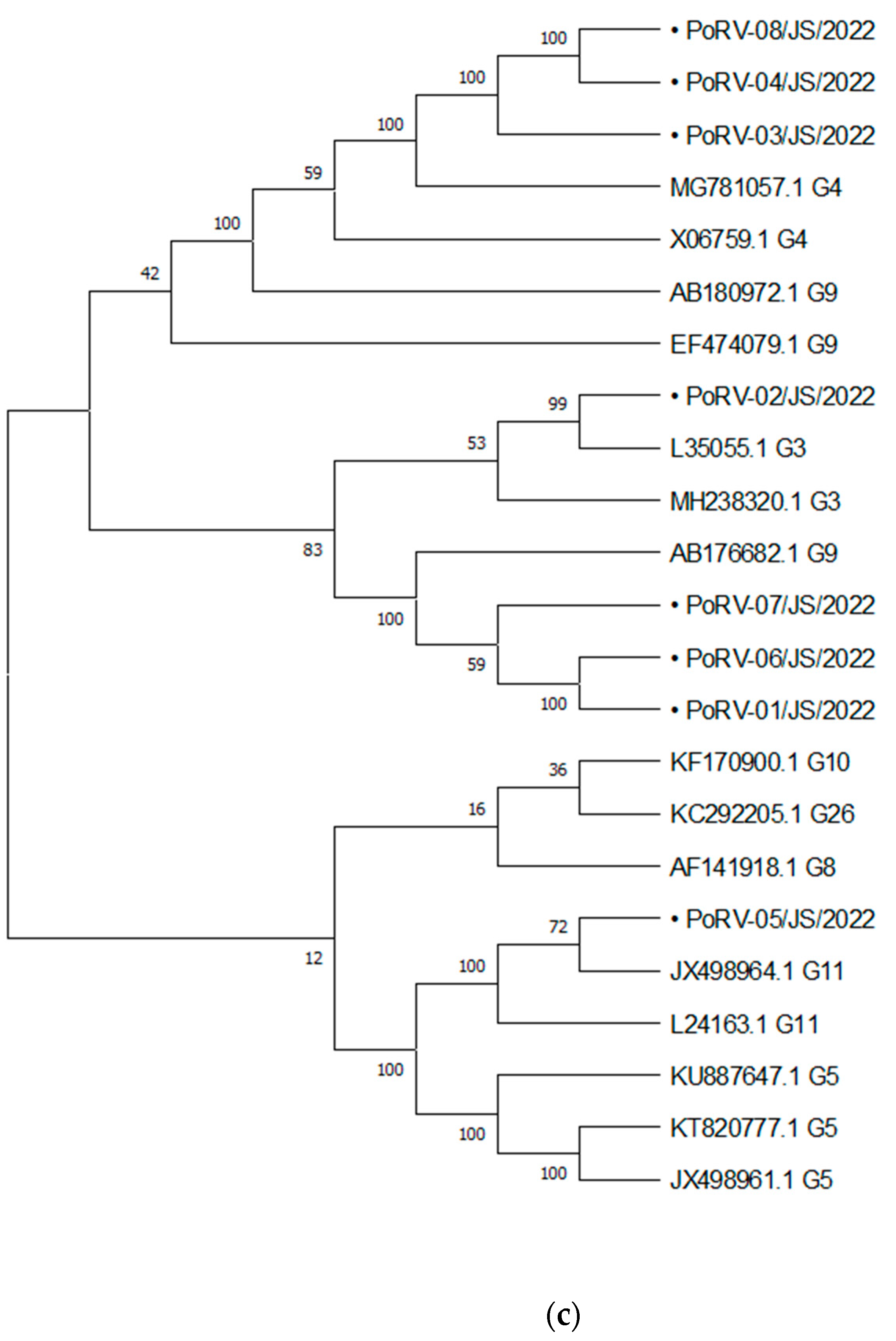 Viruses 15 01238 g004c