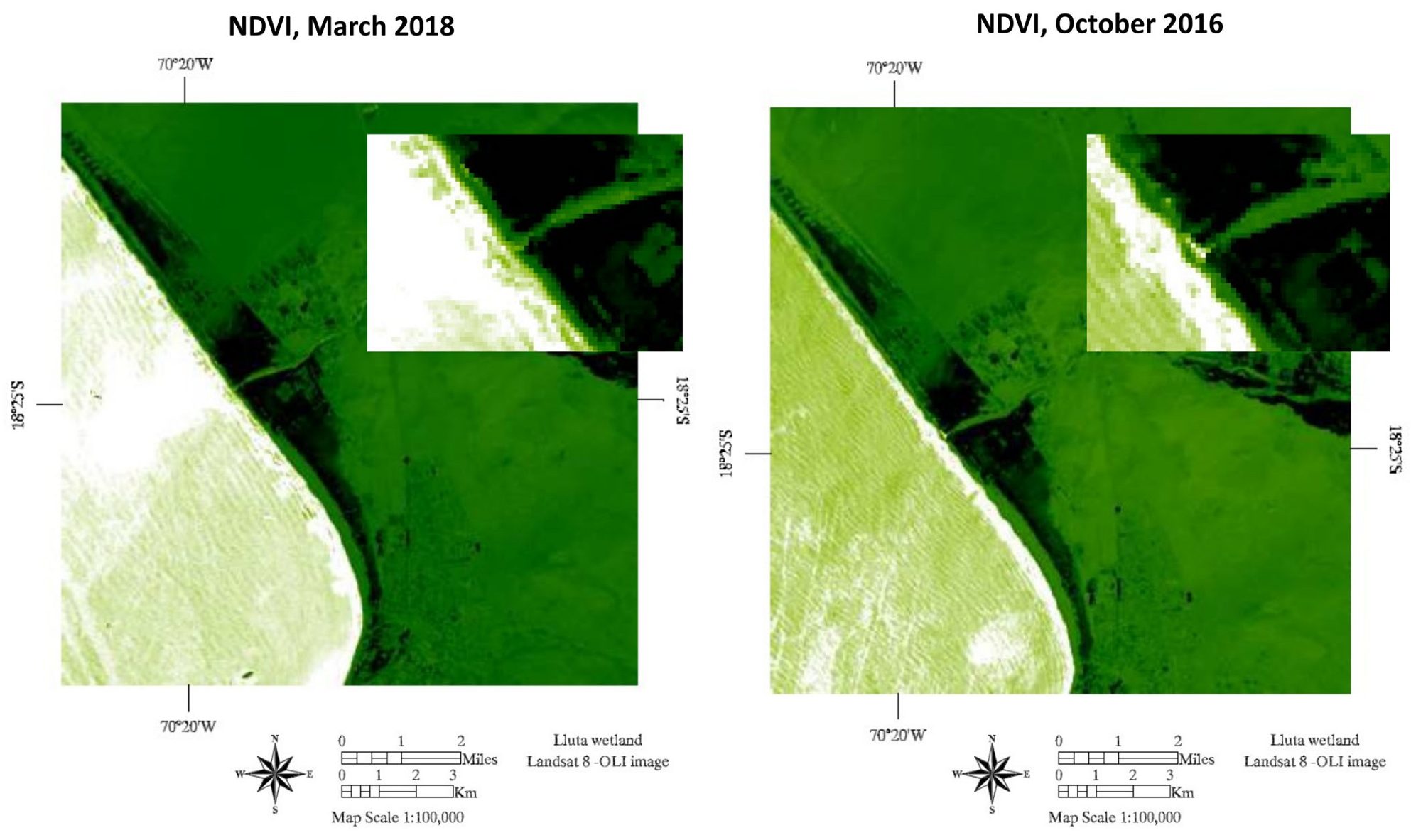 Viruses 15 01241 g003 Viruses 15 01241 g003
