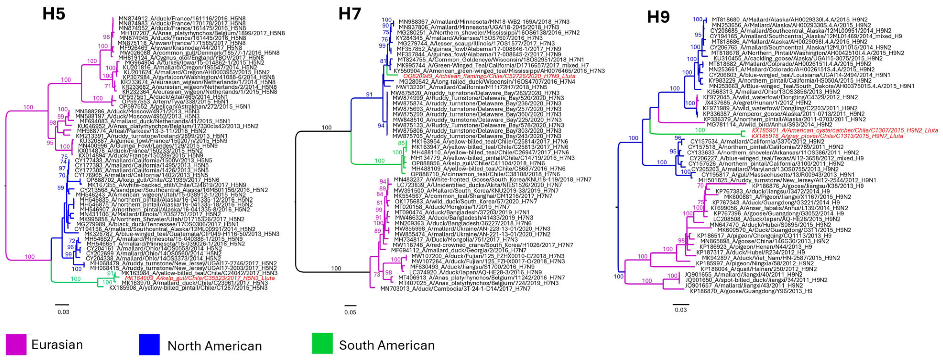 Viruses 15 01241 g004 Viruses 15 01241 g004