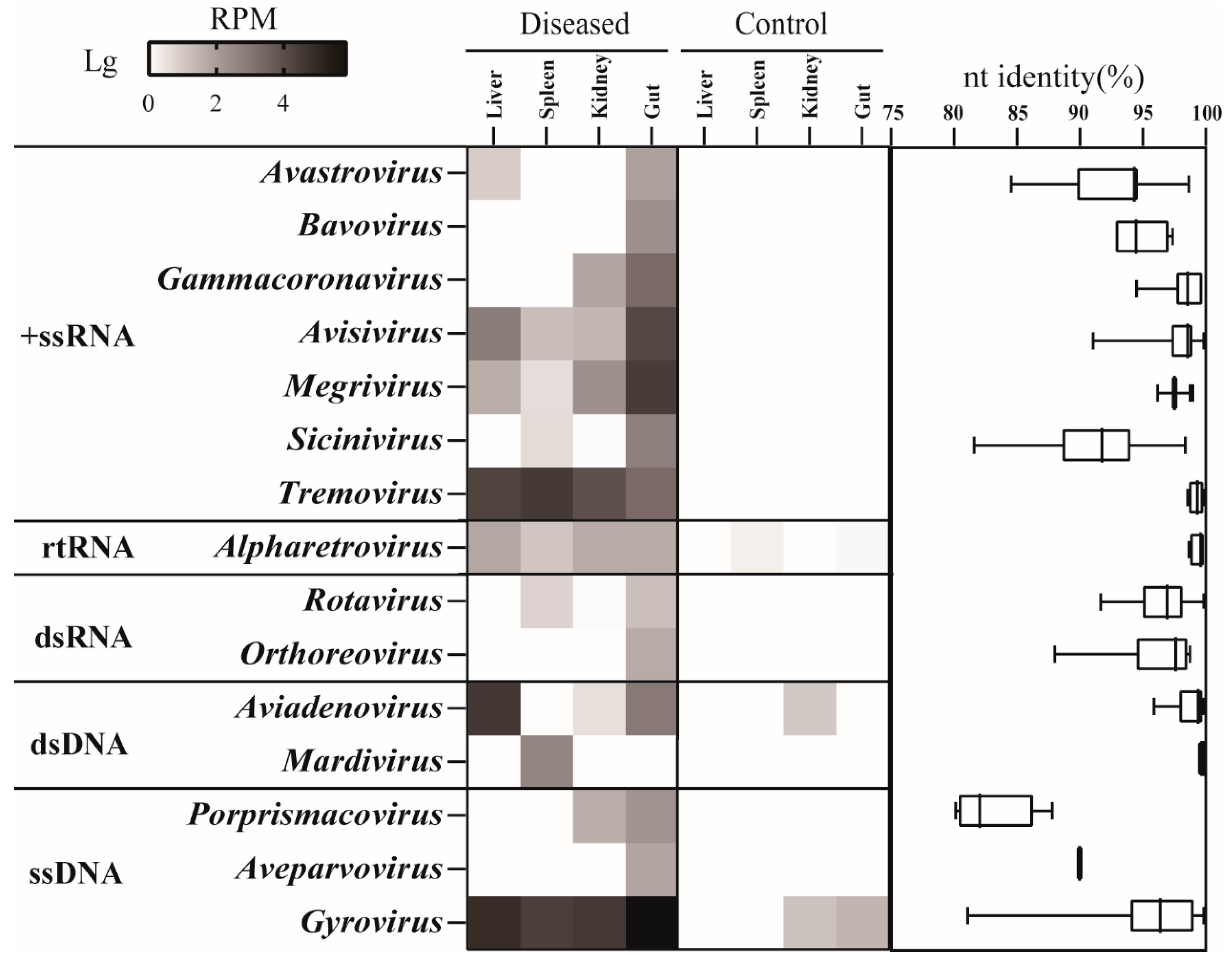 Viruses 15 01249 g002 Viruses 15 01249 g002