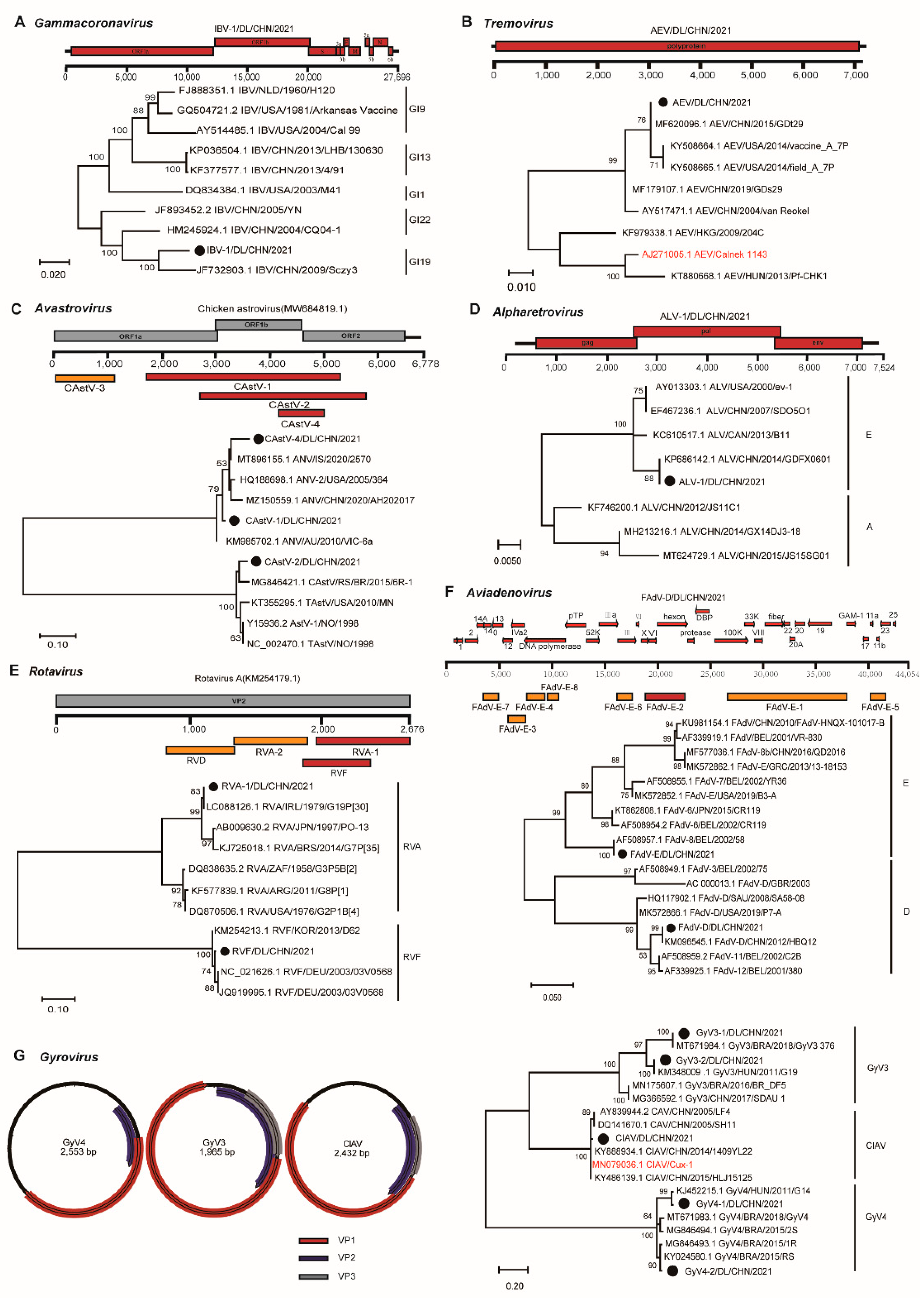 Viruses 15 01249 g003 Viruses 15 01249 g003