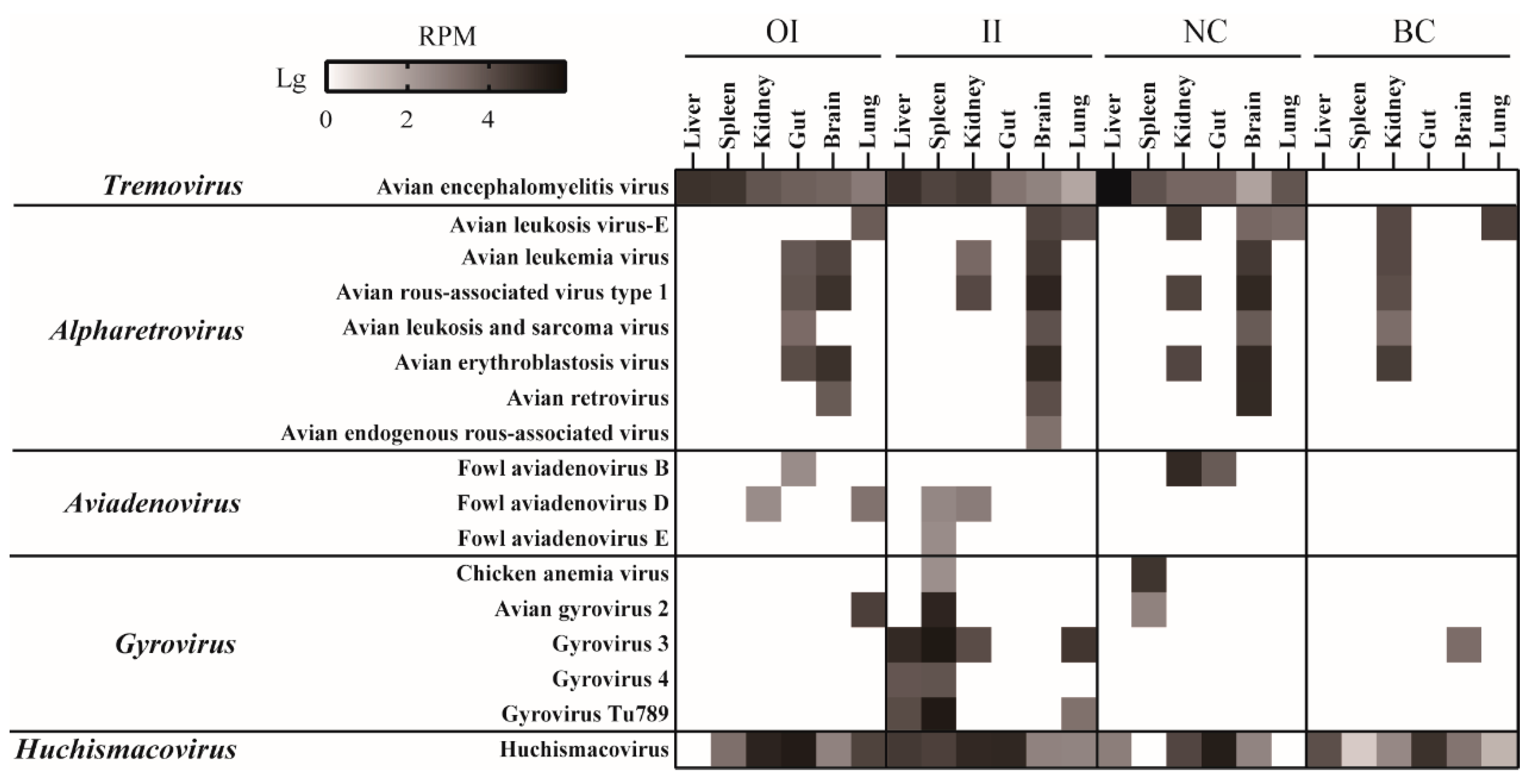 Viruses 15 01249 g004 Viruses 15 01249 g004