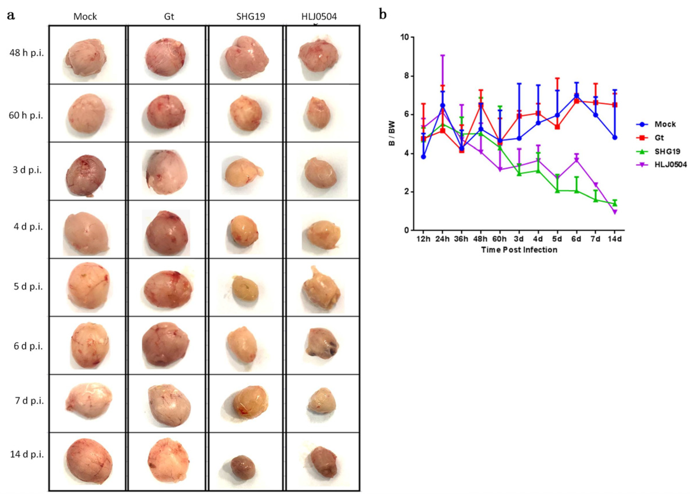 Viruses 15 01257 g002