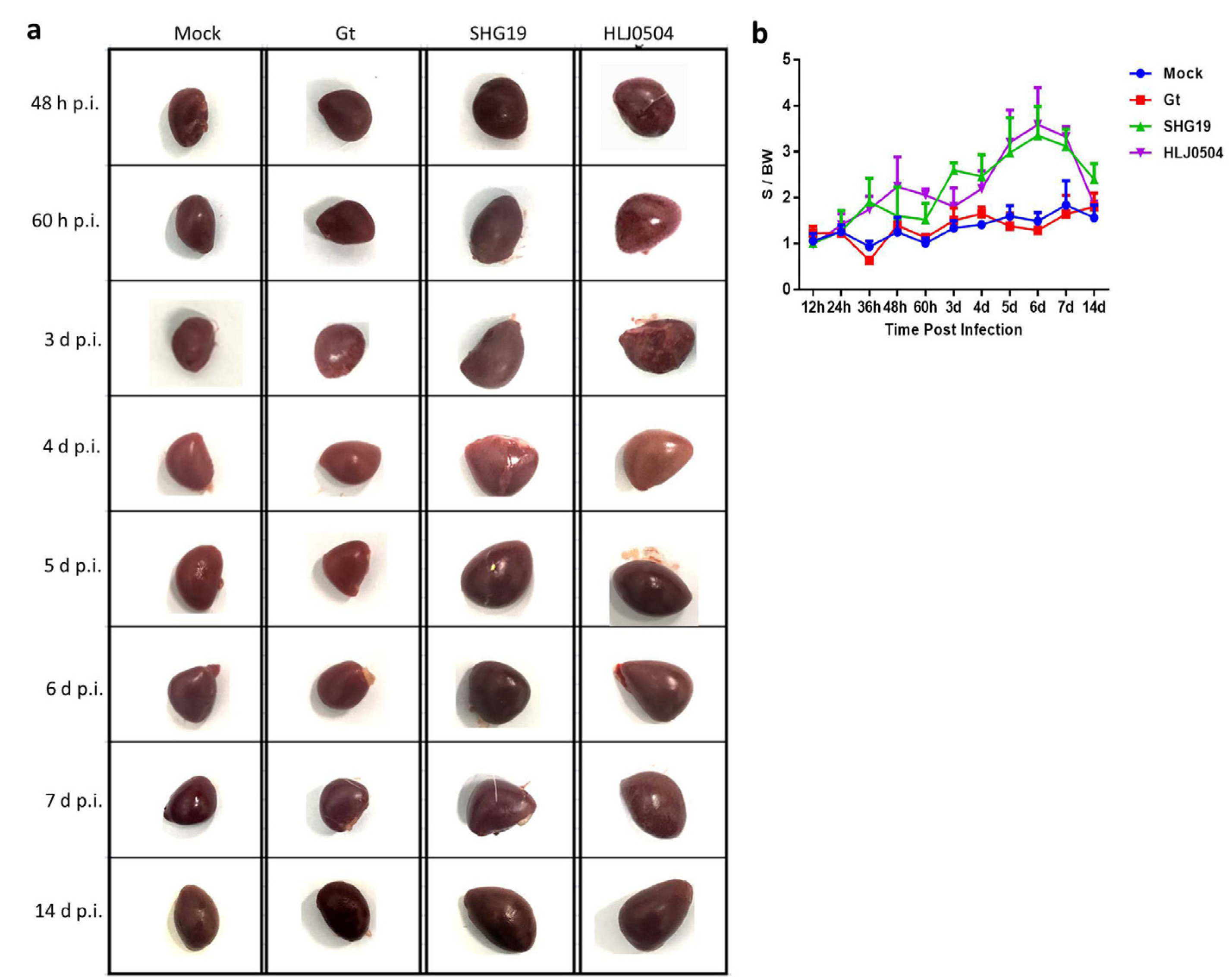 Viruses 15 01257 g004