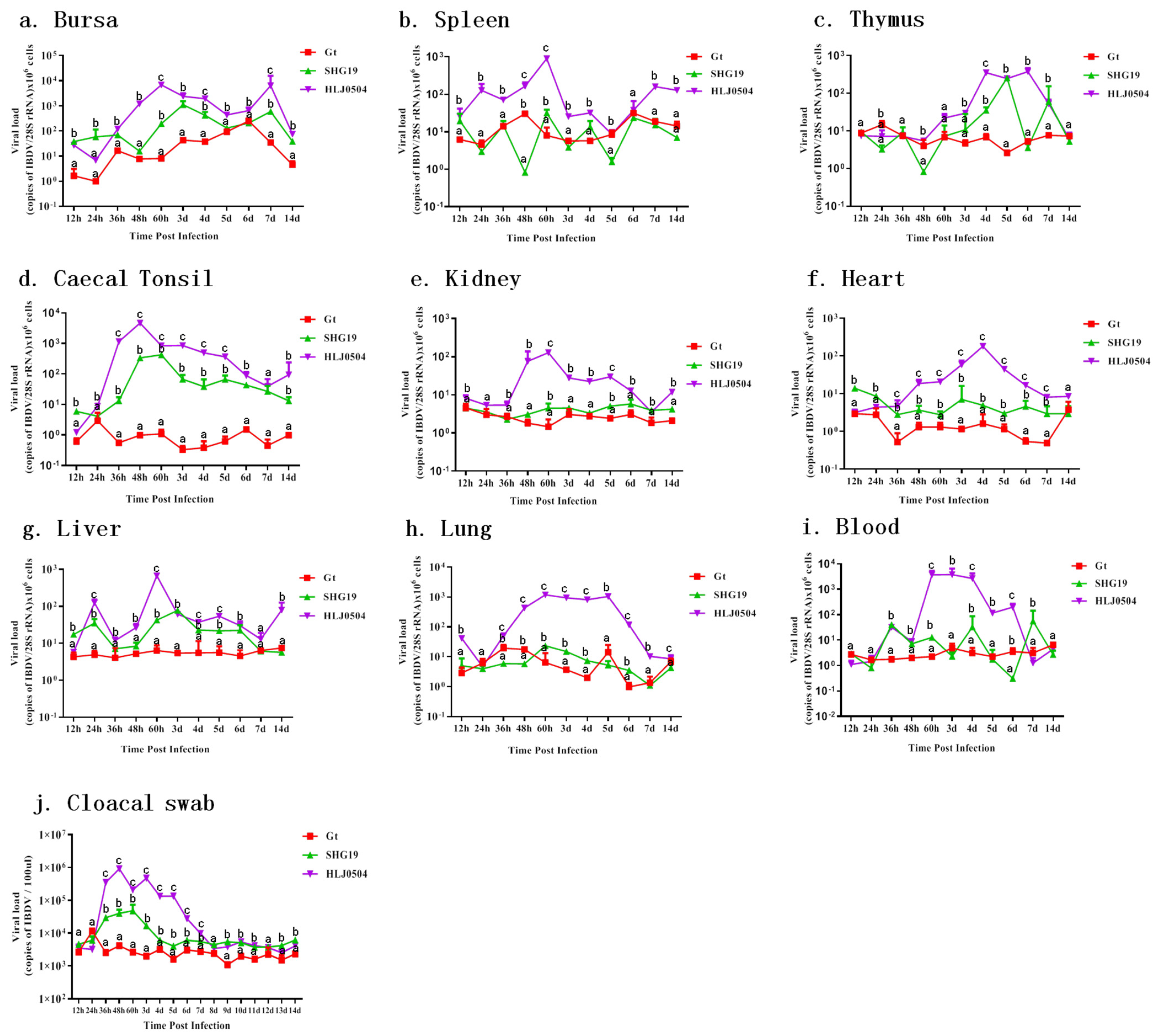 Viruses 15 01257 g007