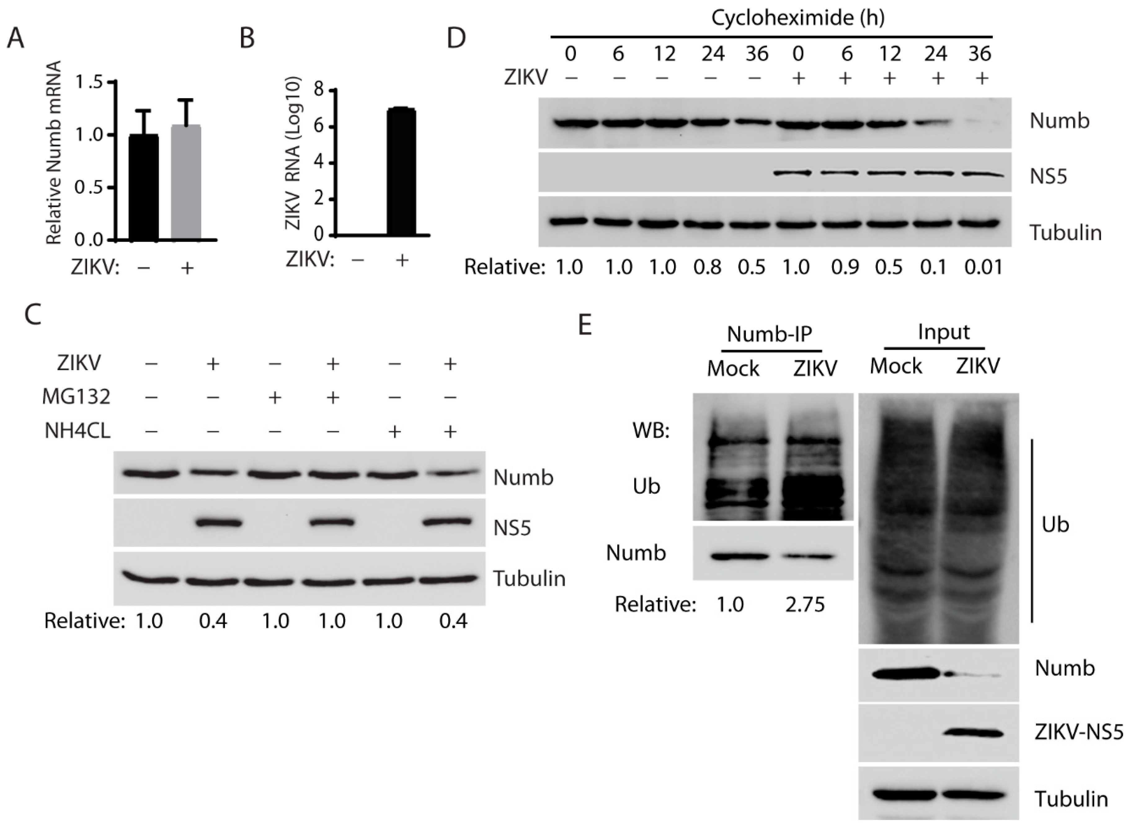Viruses 15 01258 g003