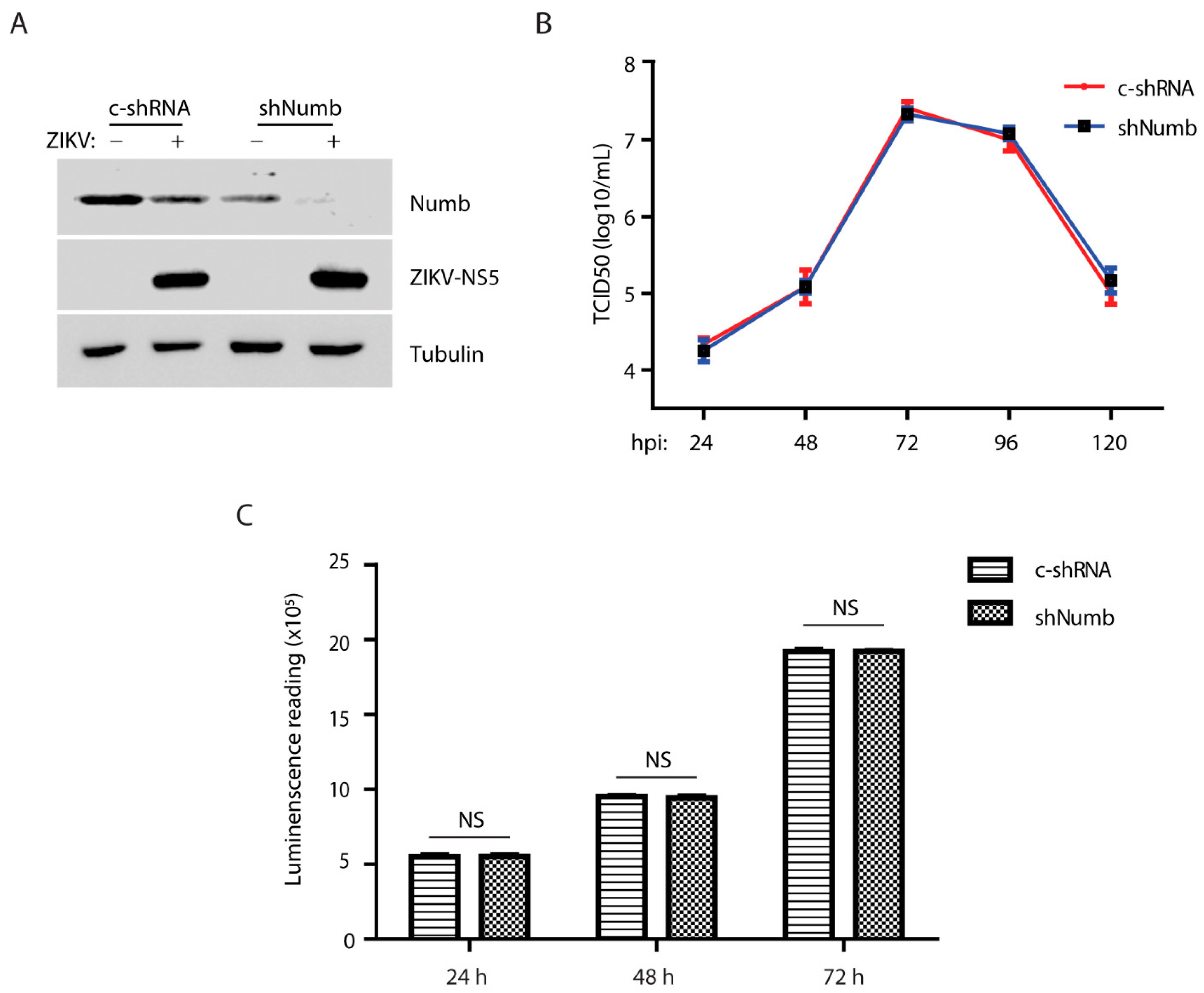 Viruses 15 01258 g005