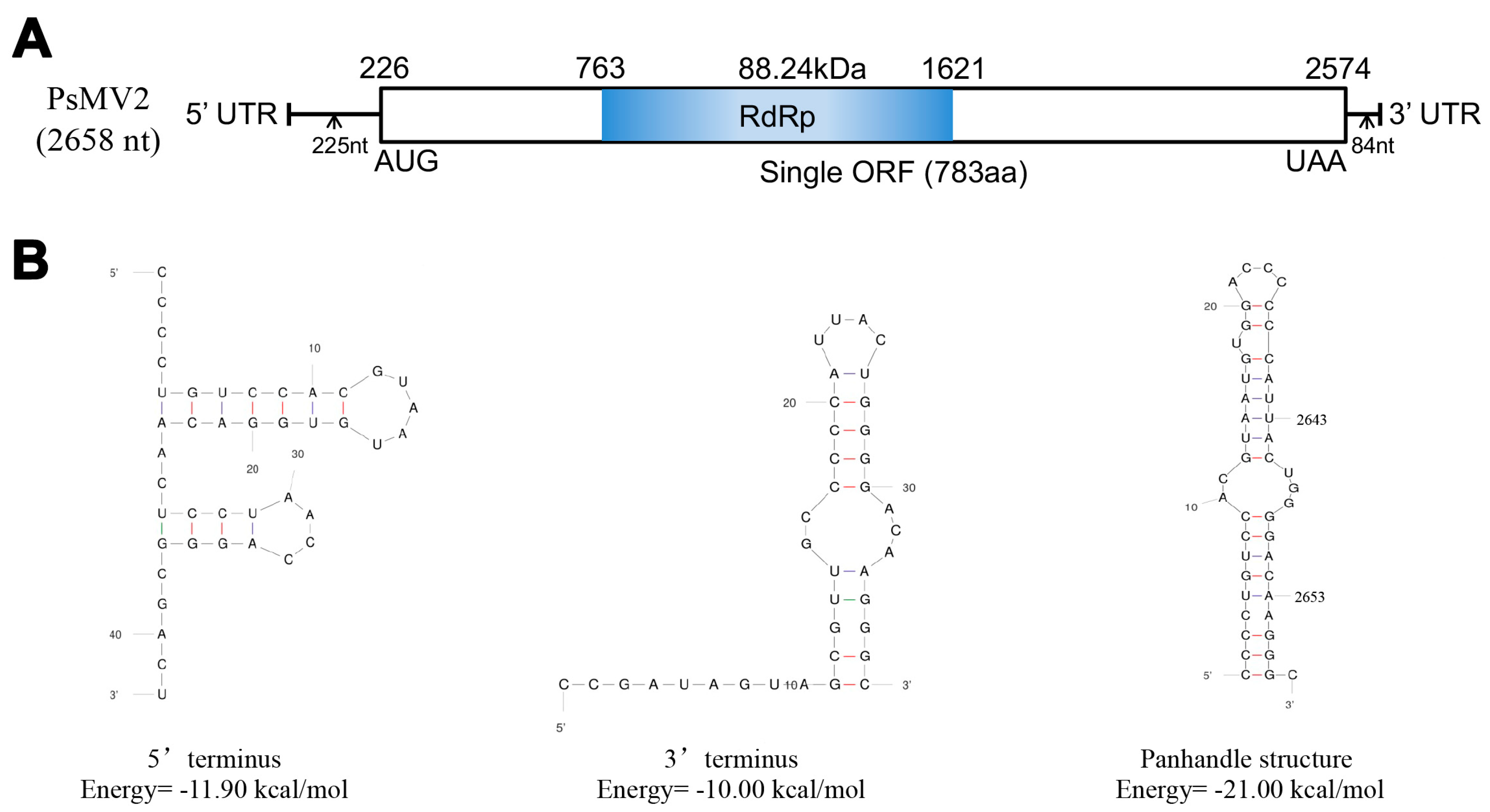 Viruses 15 01265 g001