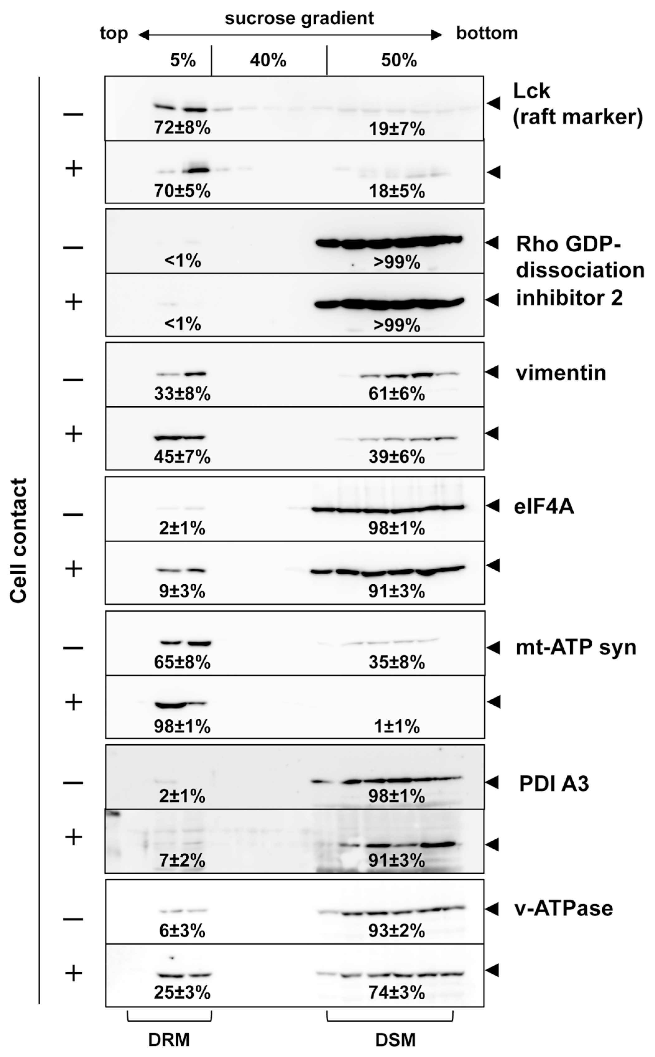 Viruses 15 01266 g003