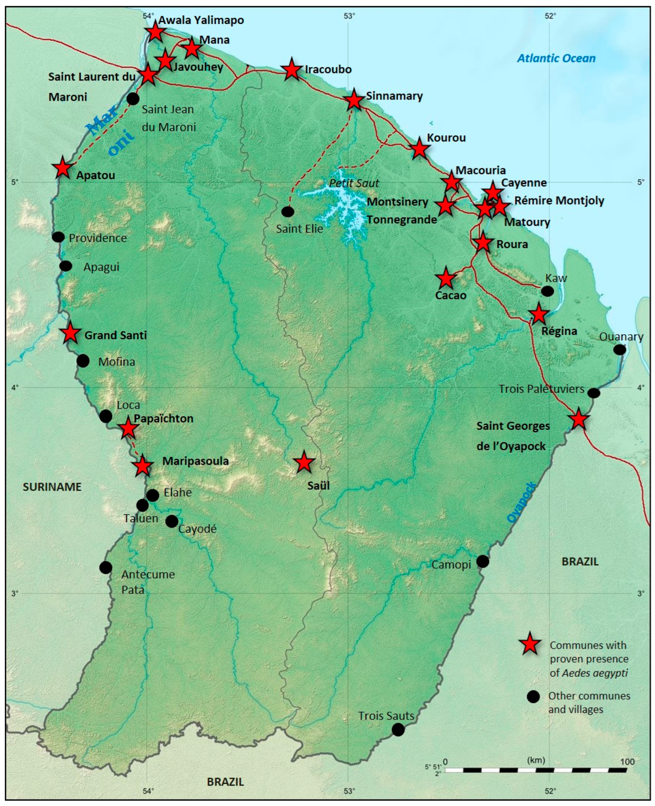 Viruses 15 01268 g004