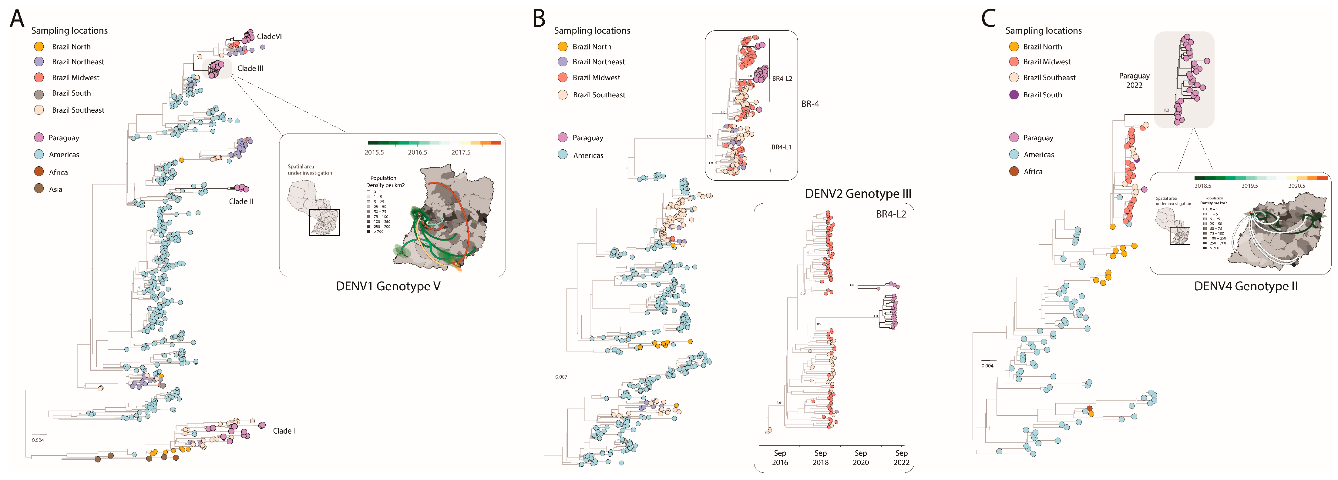 Viruses 15 01275 g002