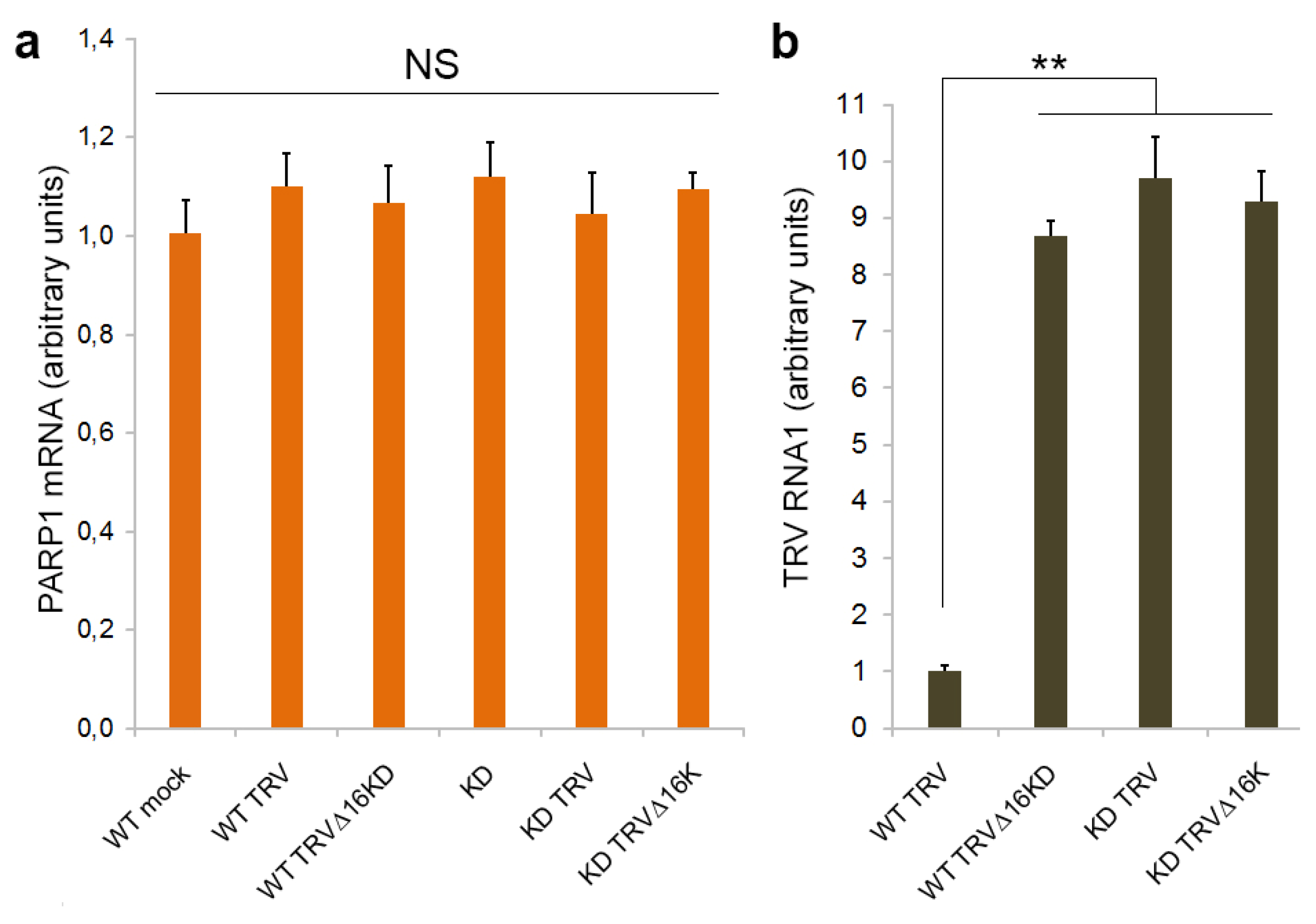 Viruses 15 01282 g001