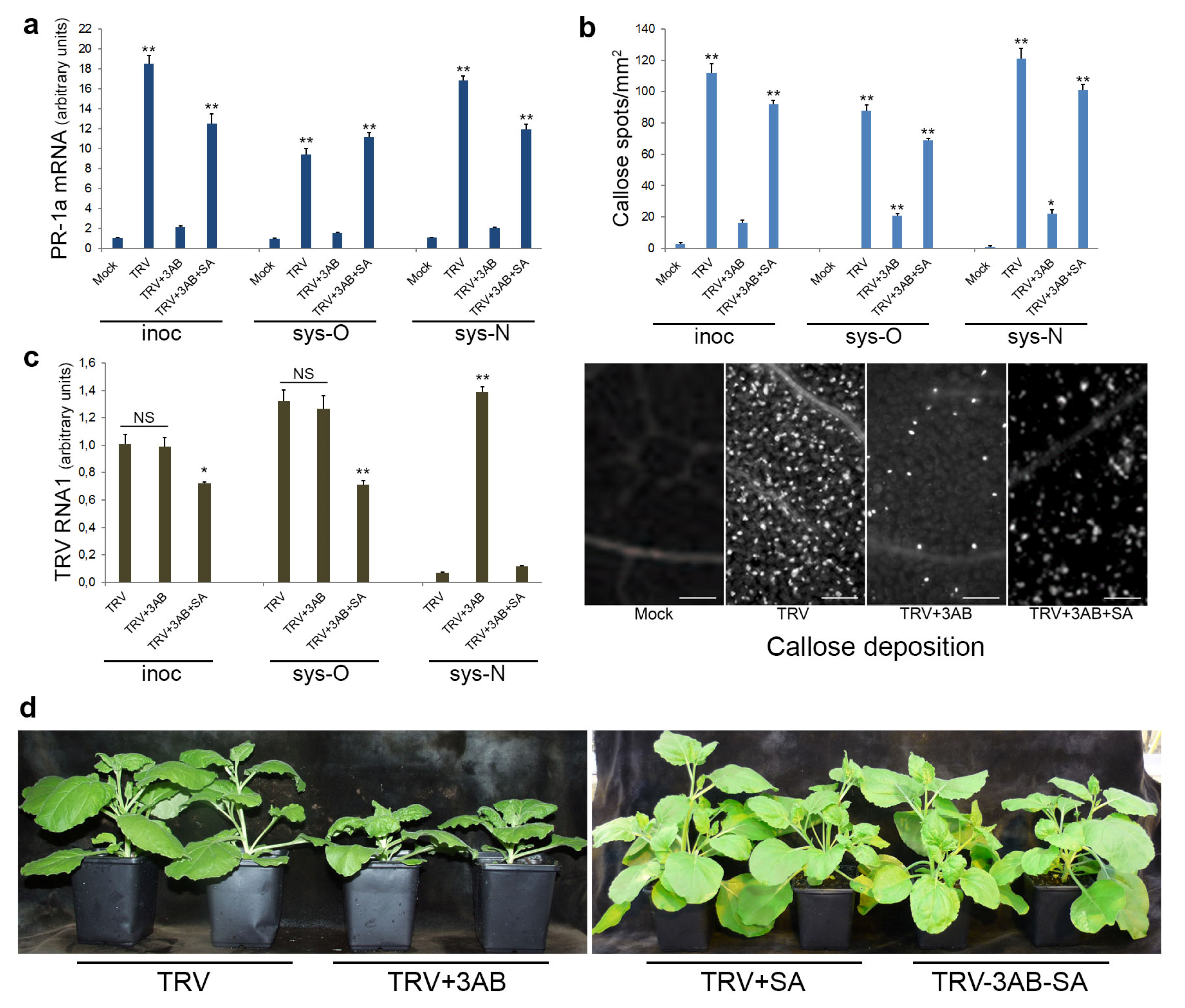 Viruses 15 01282 g007