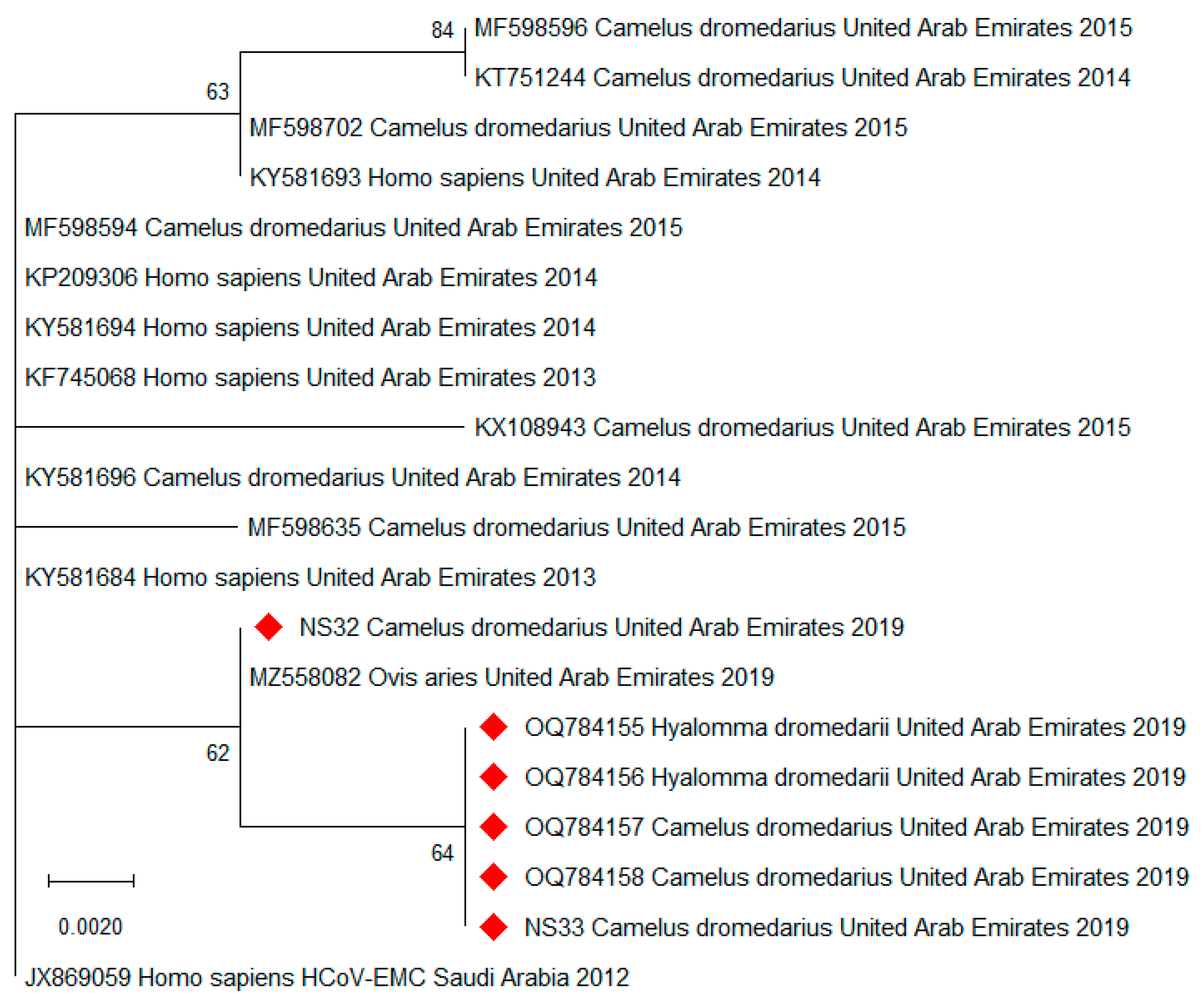 Viruses 15 01288 g001