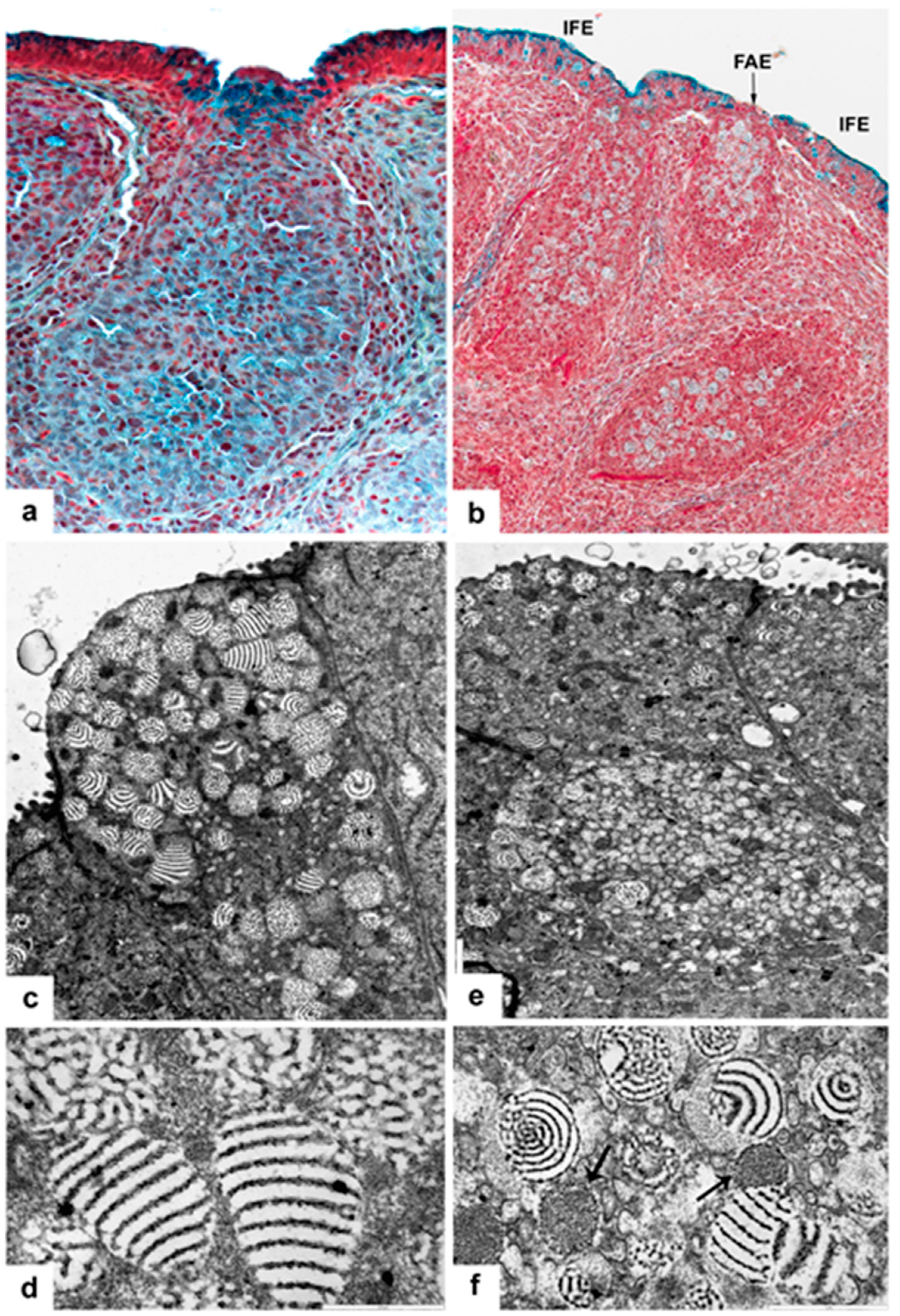 Viruses 15 01301 g002 Viruses 15 01301 g002