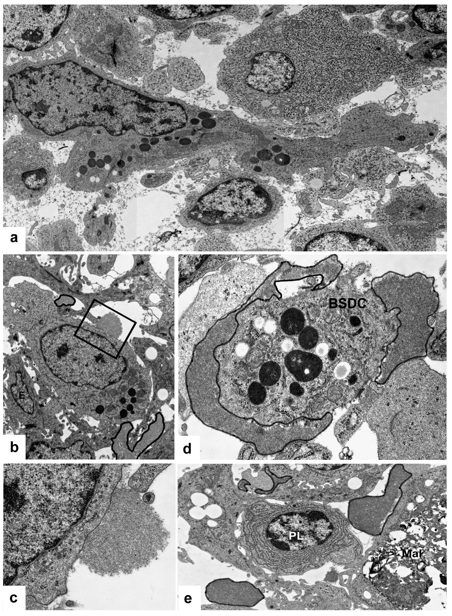 Viruses 15 01301 g003 Viruses 15 01301 g003