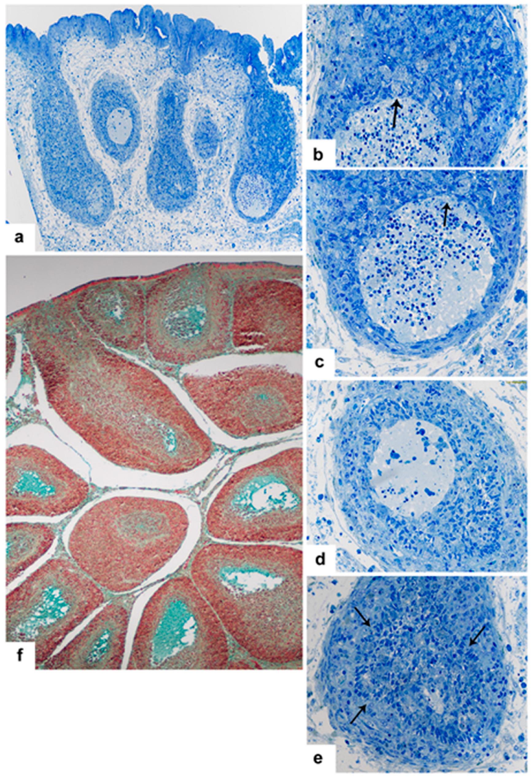 Viruses 15 01301 g005 Viruses 15 01301 g005