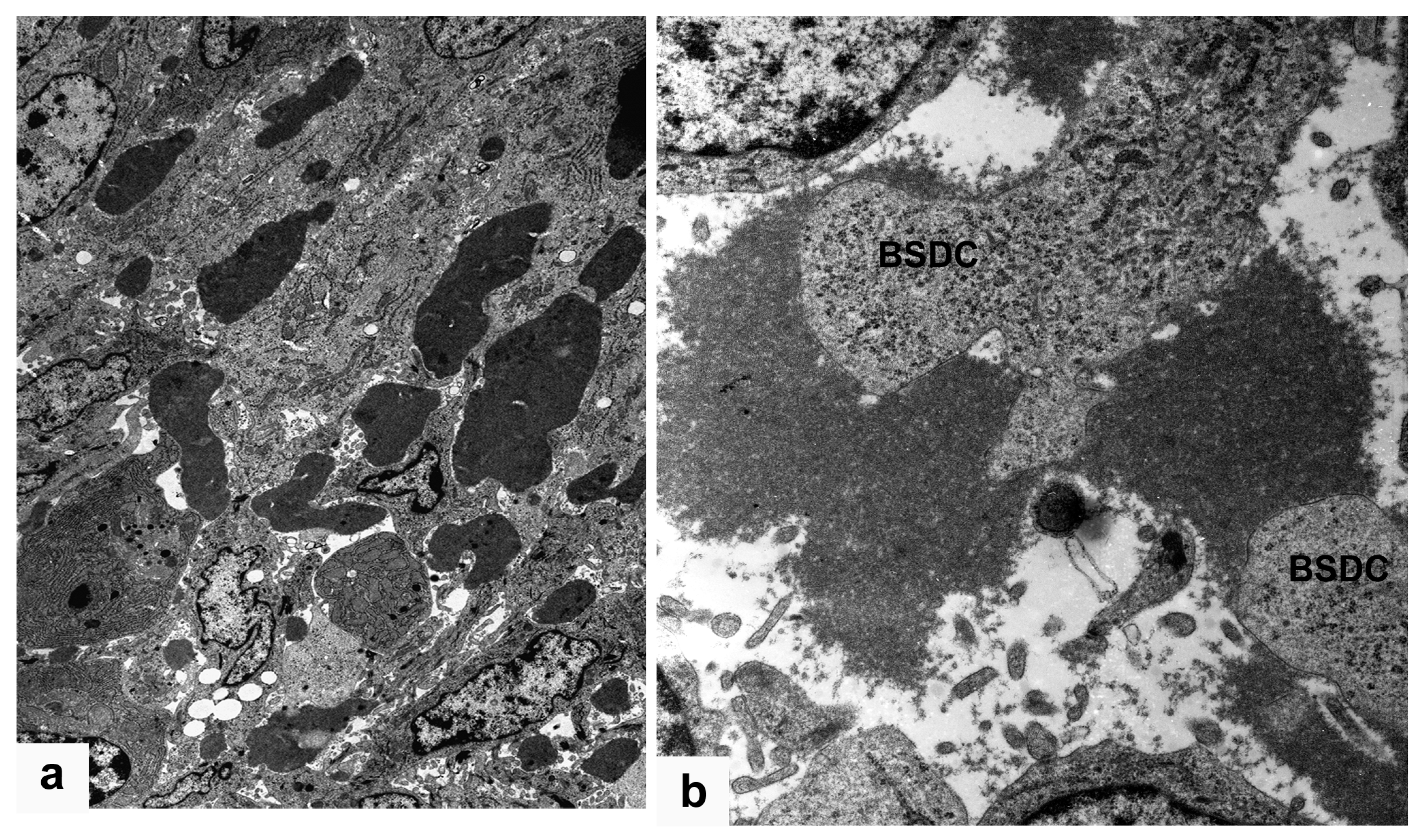 Viruses 15 01301 g007 Viruses 15 01301 g007