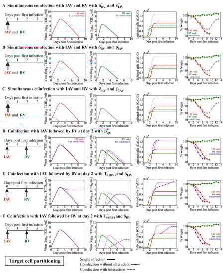 Viruses 15 01303 g0a3
