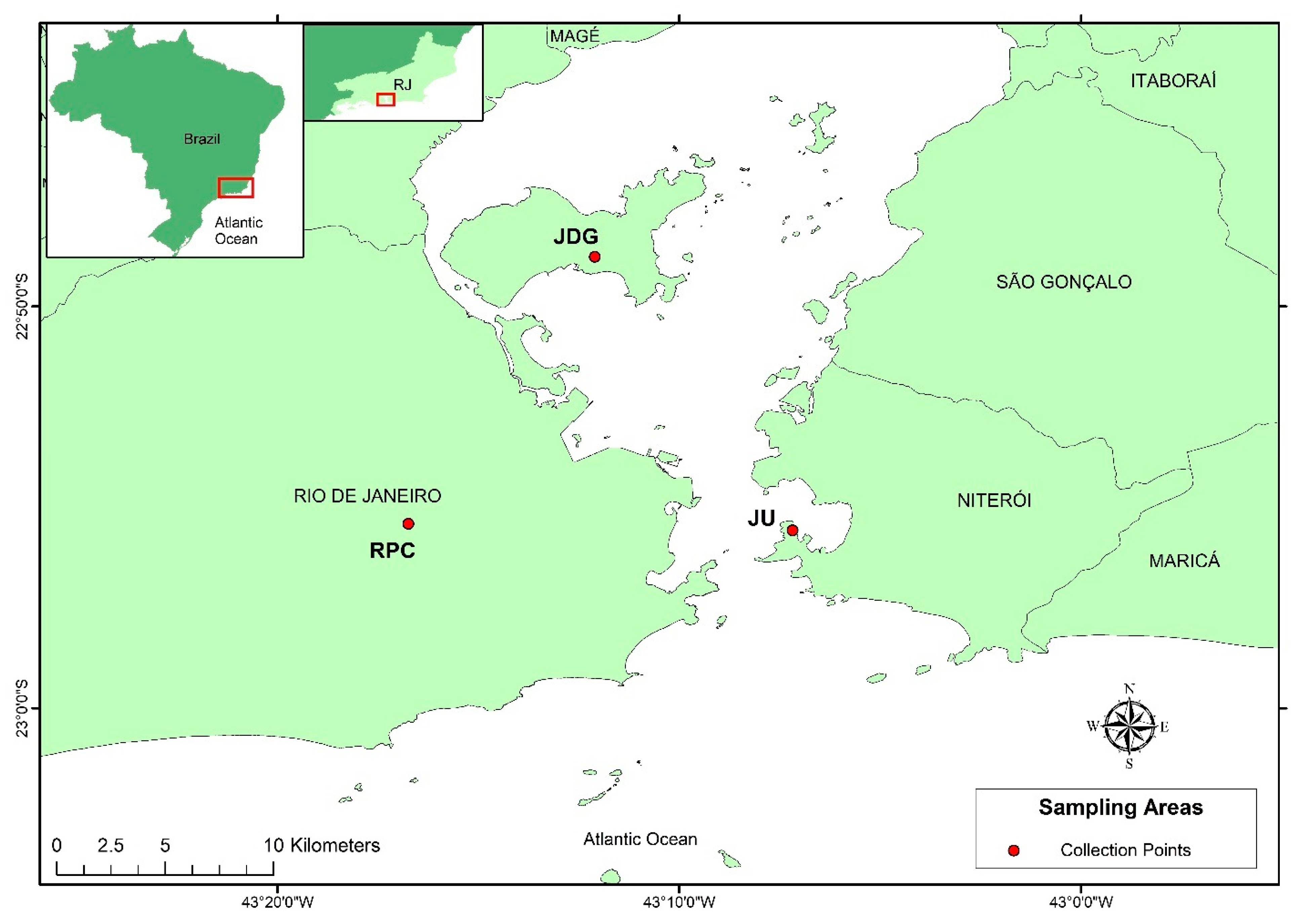 Viruses 15 01309 g001