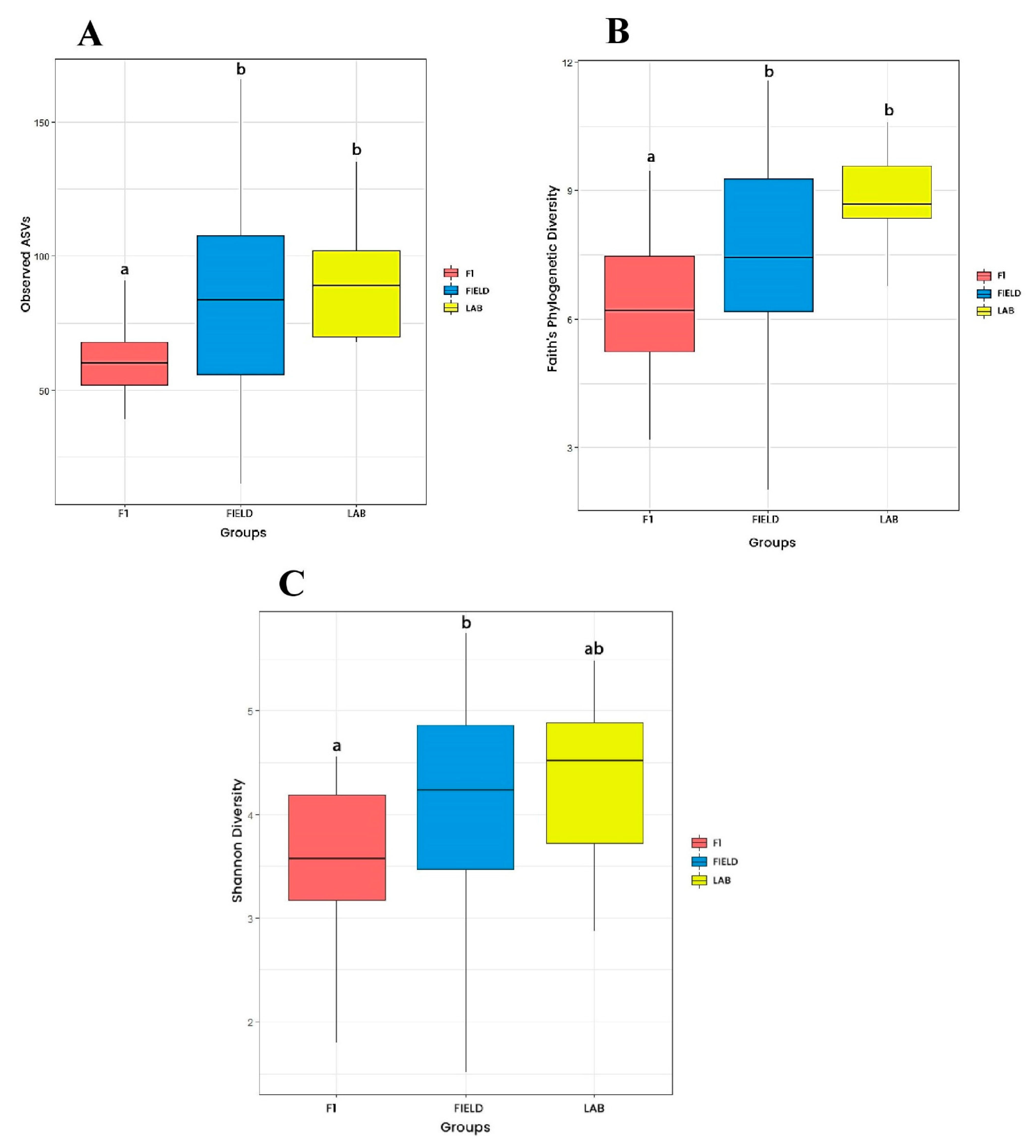 Viruses 15 01309 g002