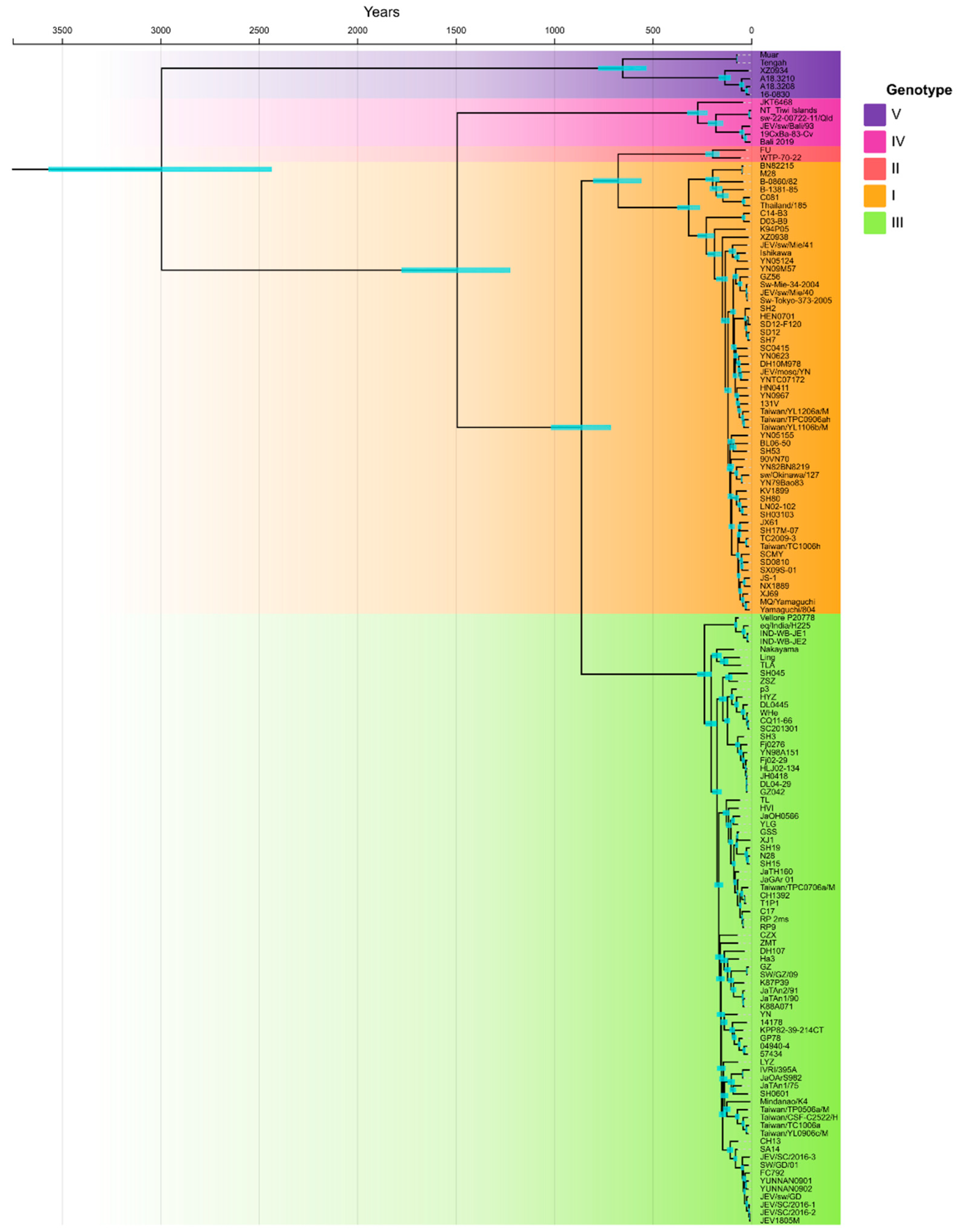 Viruses 15 01312 g001
