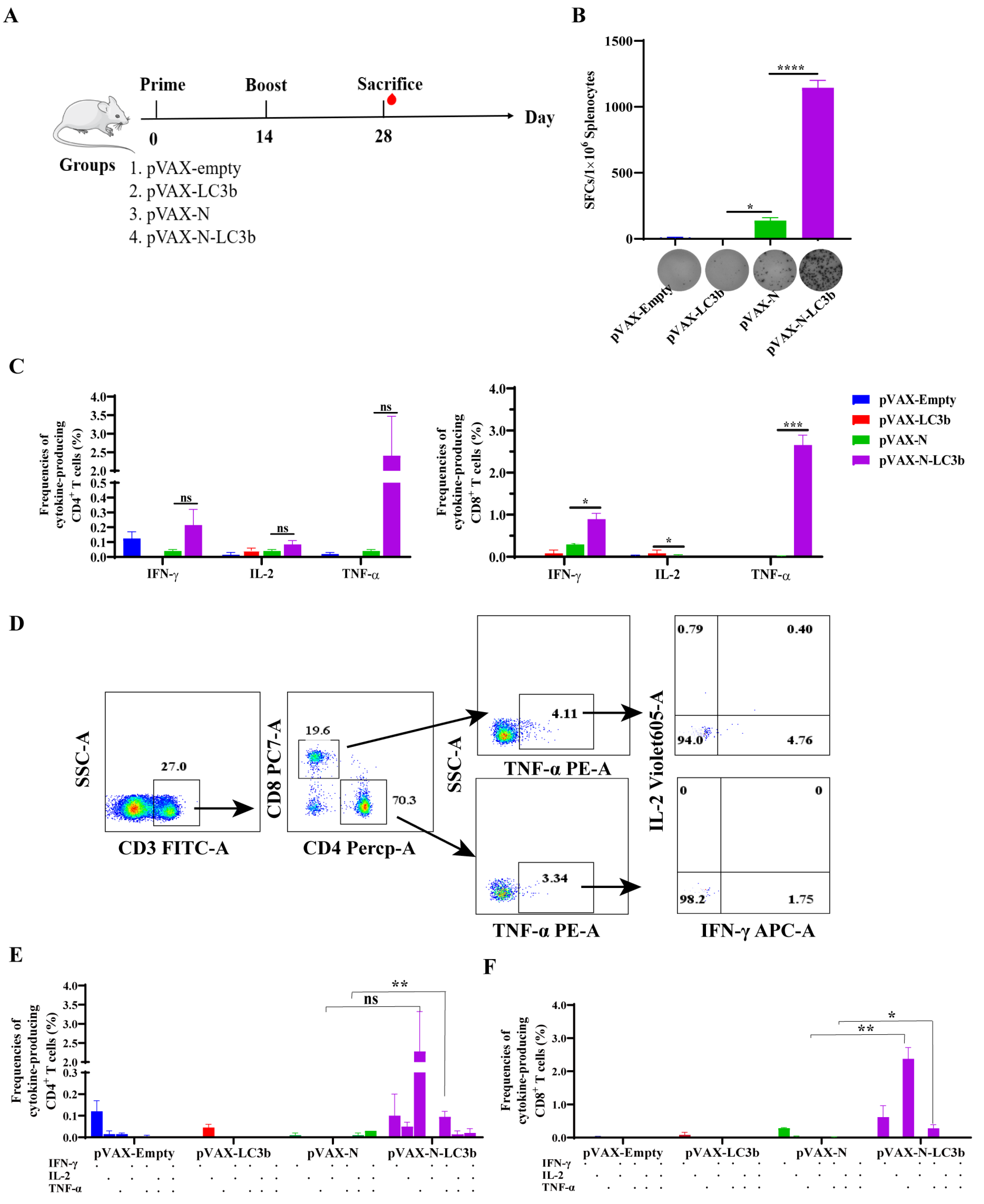 Viruses 15 01316 g002