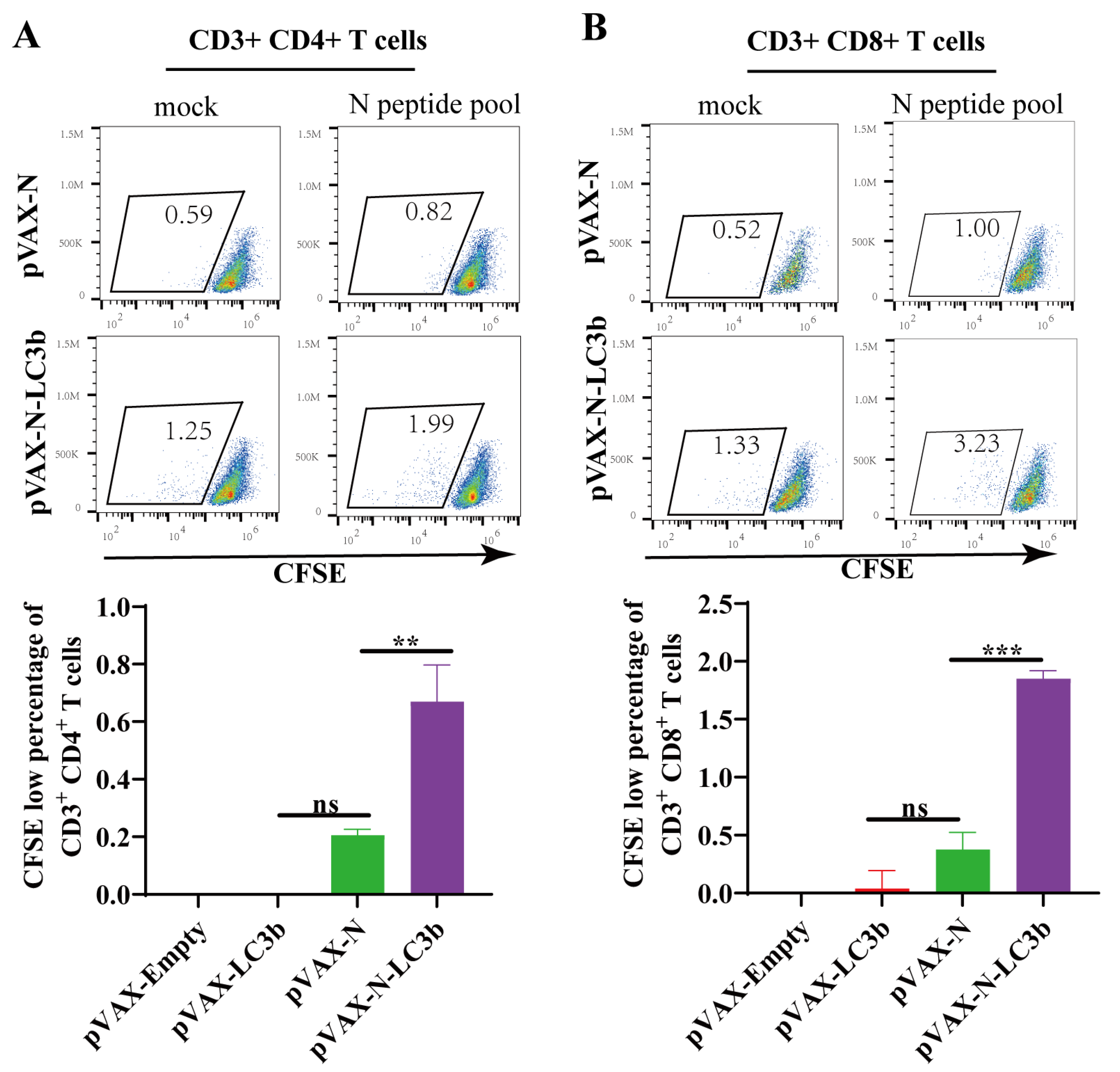 Viruses 15 01316 g003