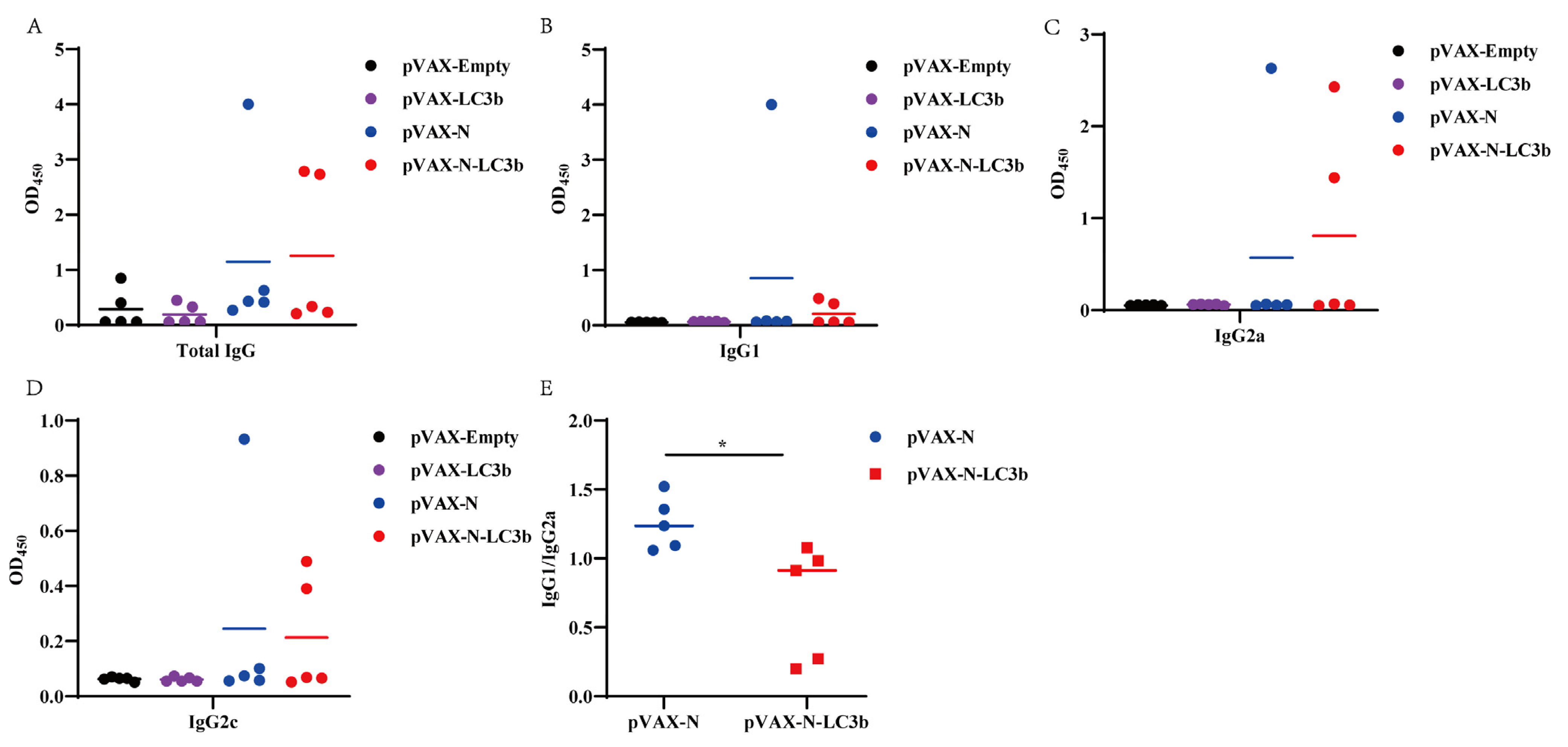Viruses 15 01316 g004