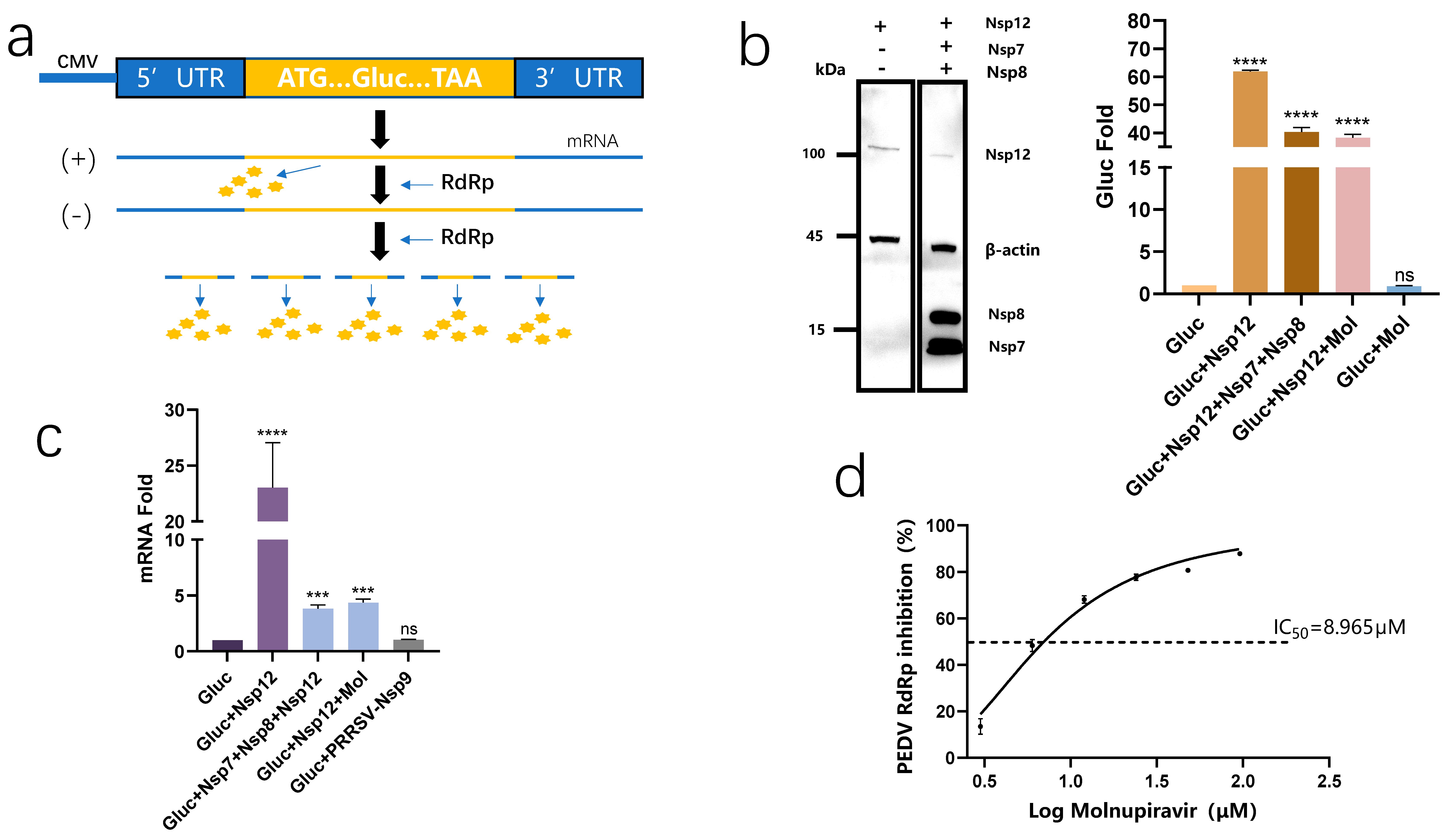 Viruses 15 01317 g003