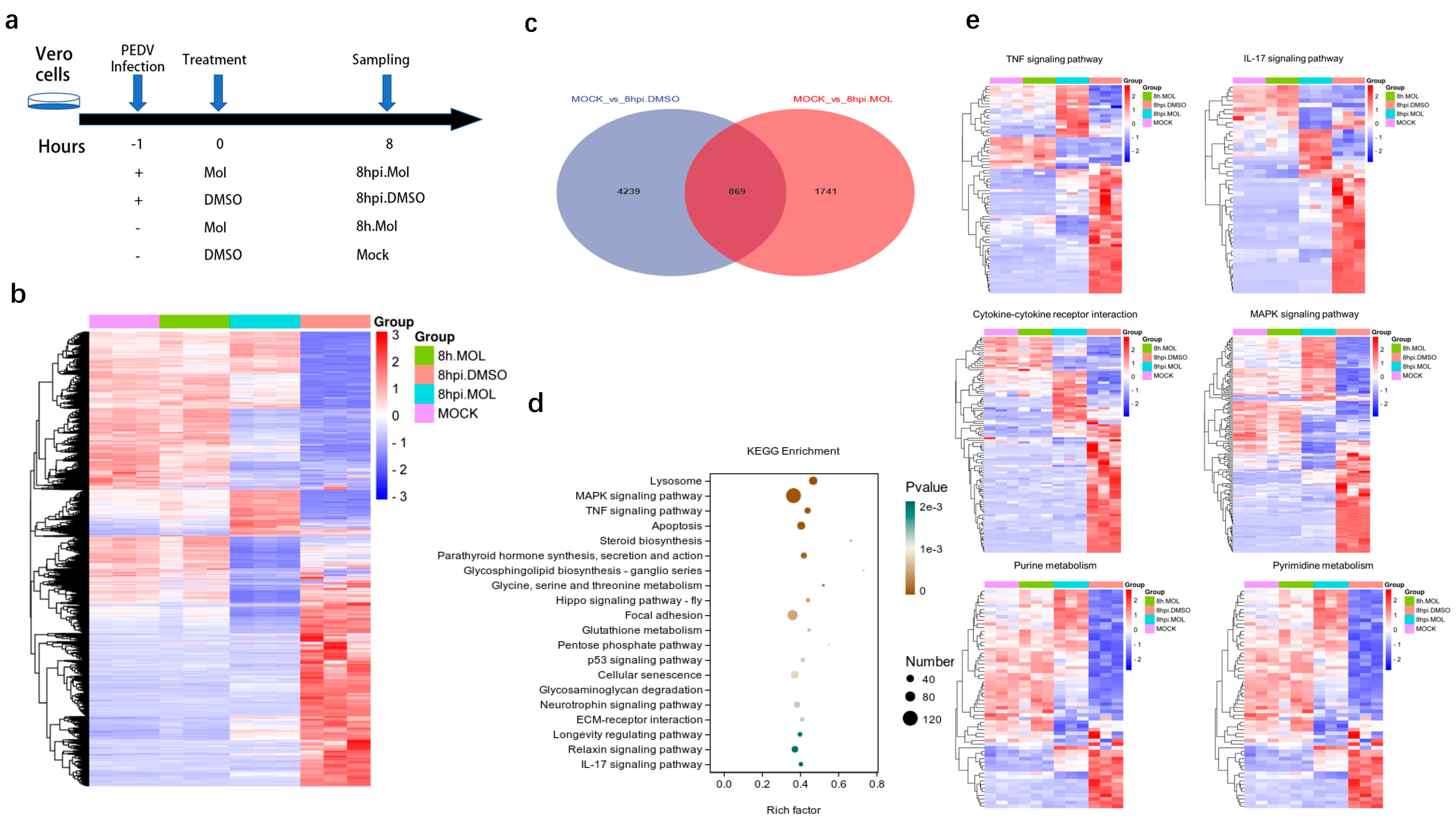 Viruses 15 01317 g005