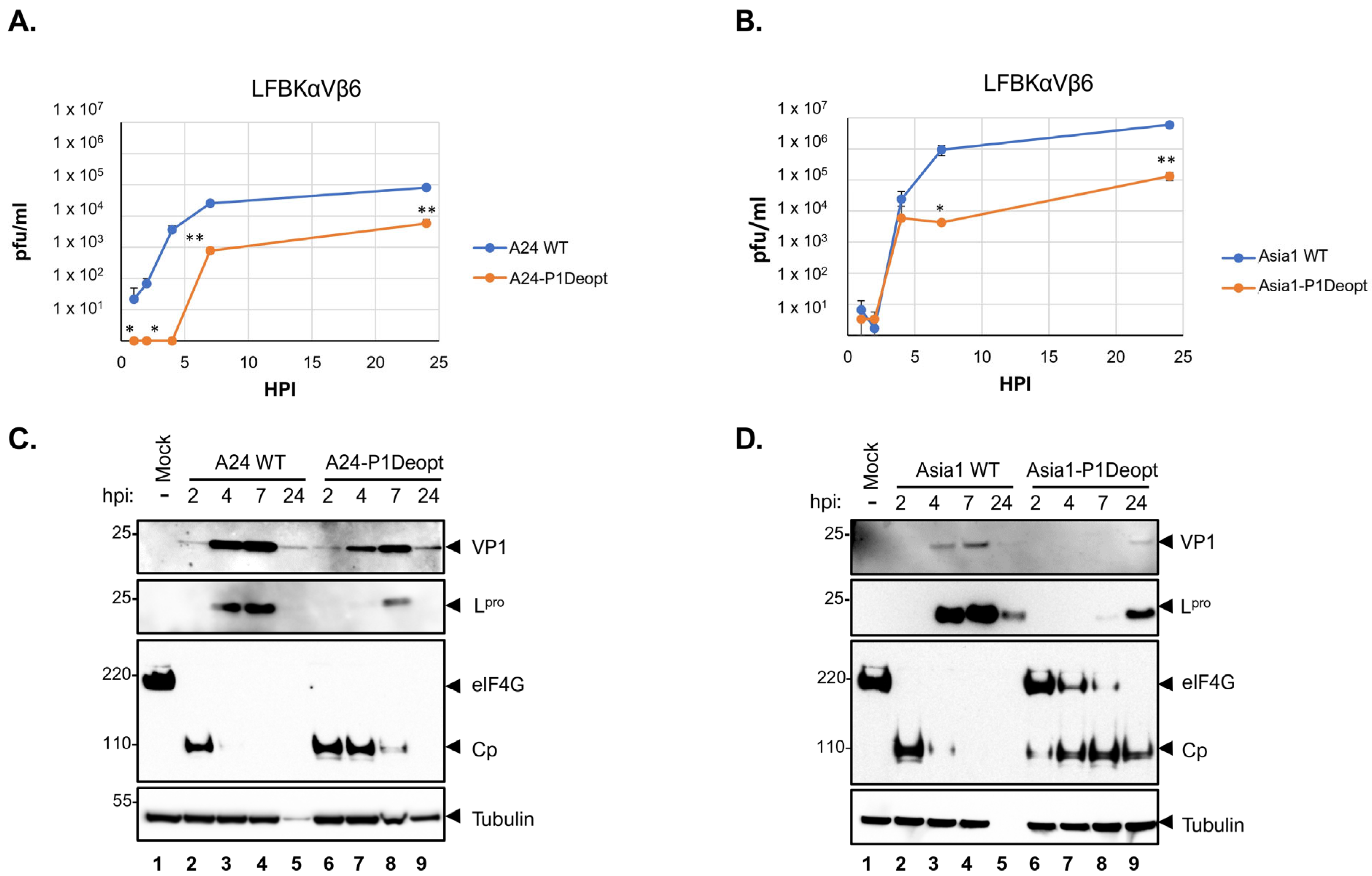 Viruses 15 01332 g001
