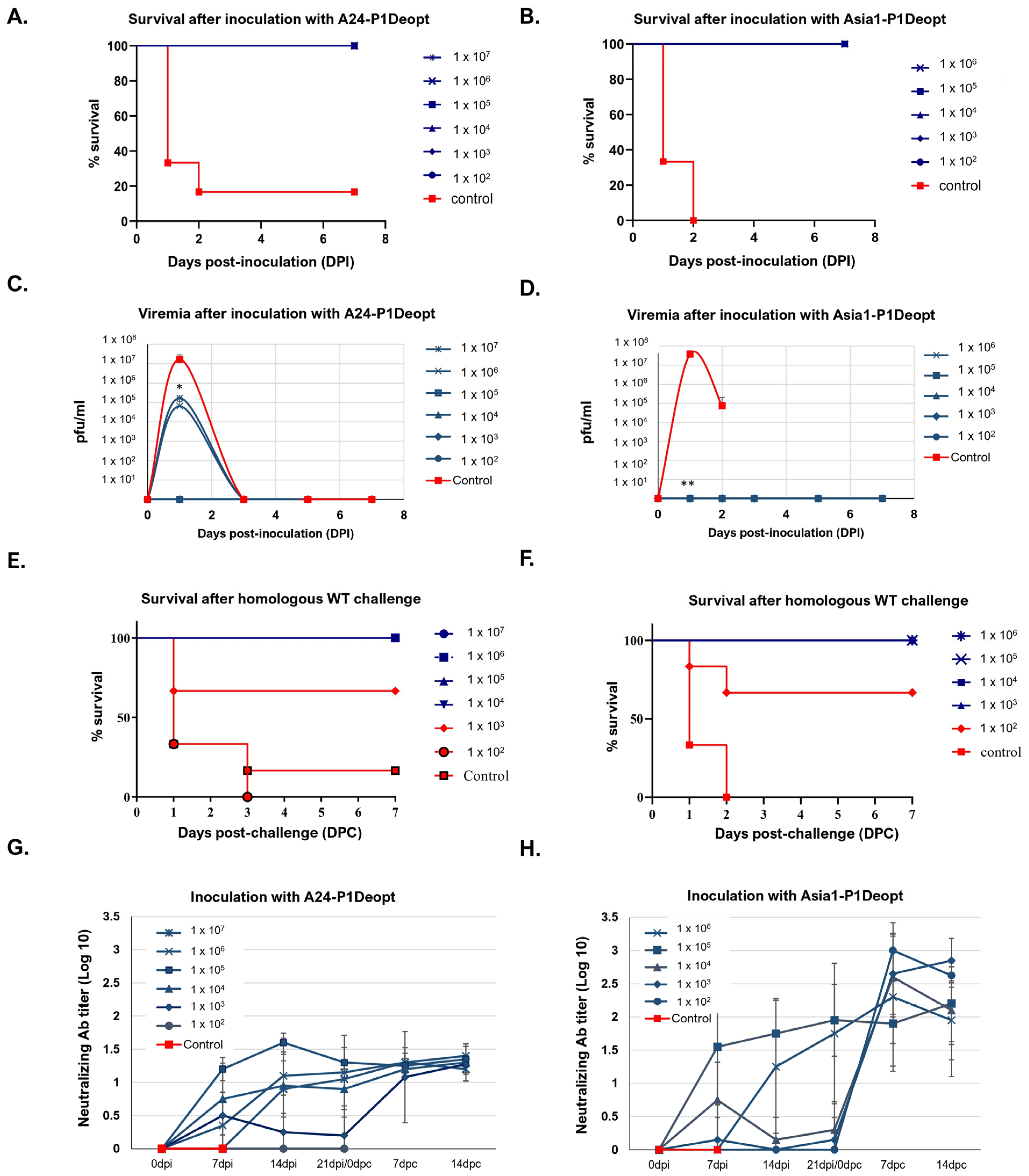 Viruses 15 01332 g002